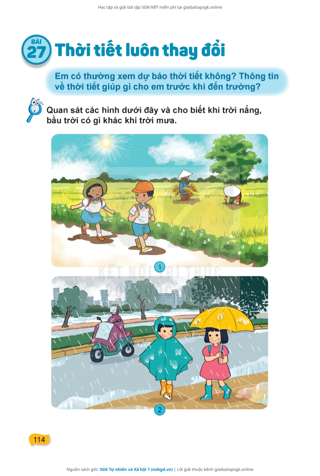 Trang 115 sách giáo khoa SGK Tự nhiên và Xã hội 1 thu nhỏ