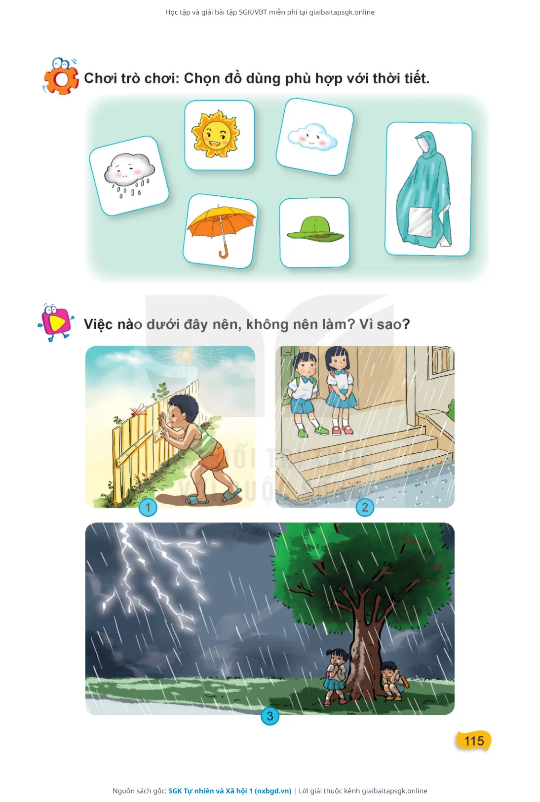 Trang 116 sách giáo khoa SGK Tự nhiên và Xã hội 1 thu nhỏ