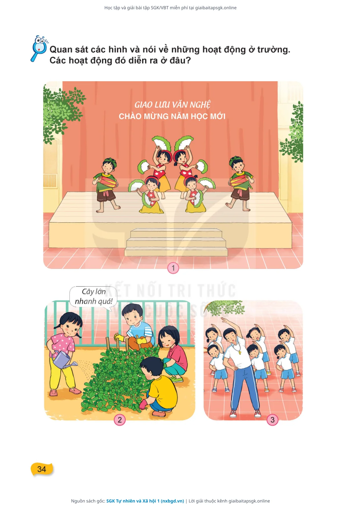 Trang 35 sách giáo khoa SGK Tự nhiên và Xã hội 1 thu nhỏ