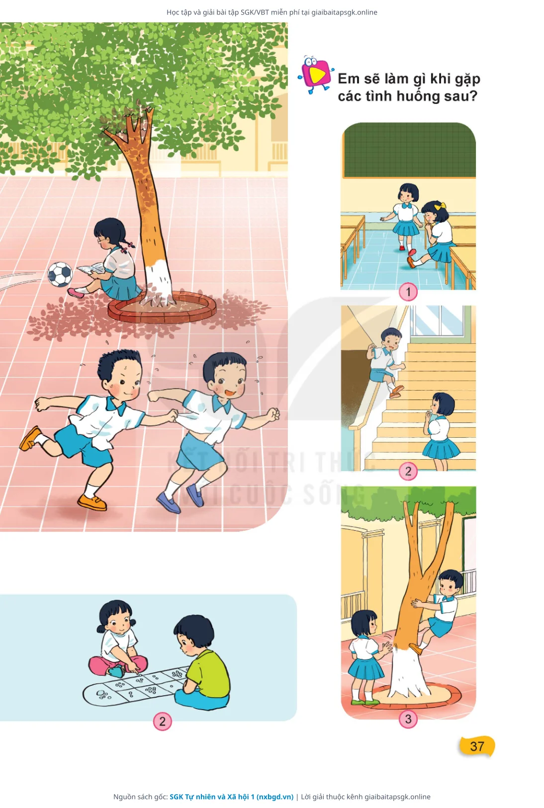 Trang 38 sách giáo khoa SGK Tự nhiên và Xã hội 1 thu nhỏ