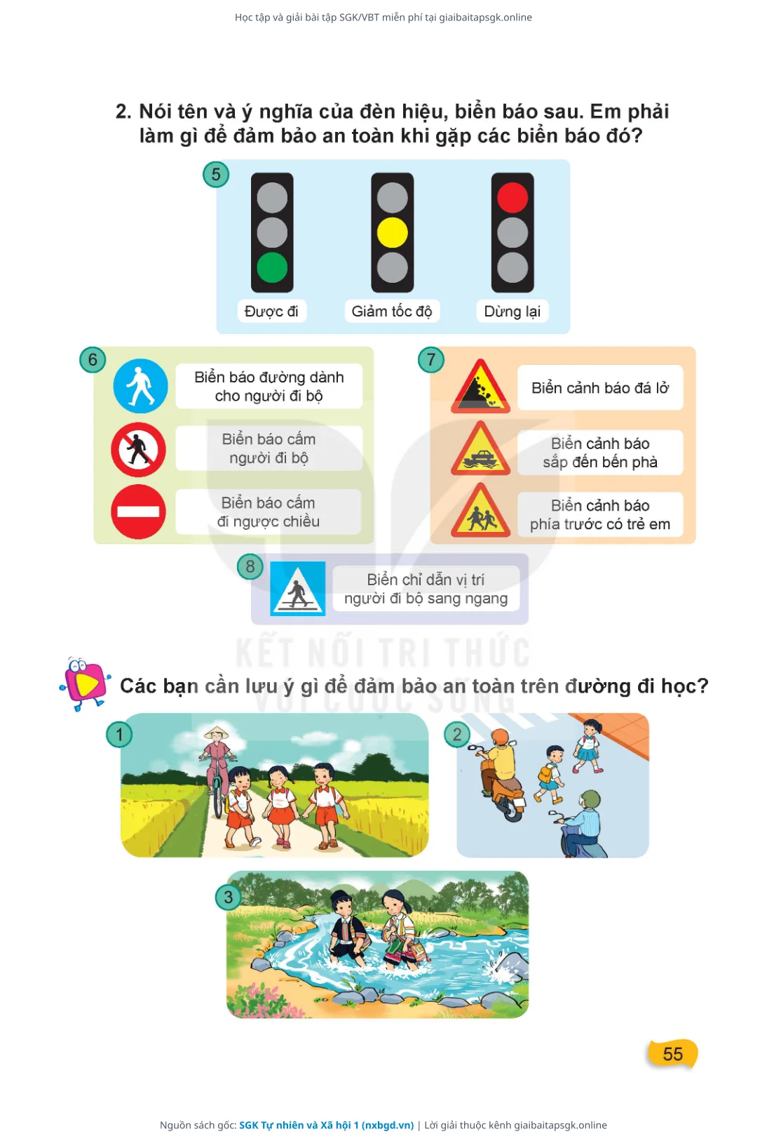 Trang 56 sách giáo khoa SGK Tự nhiên và Xã hội 1 thu nhỏ