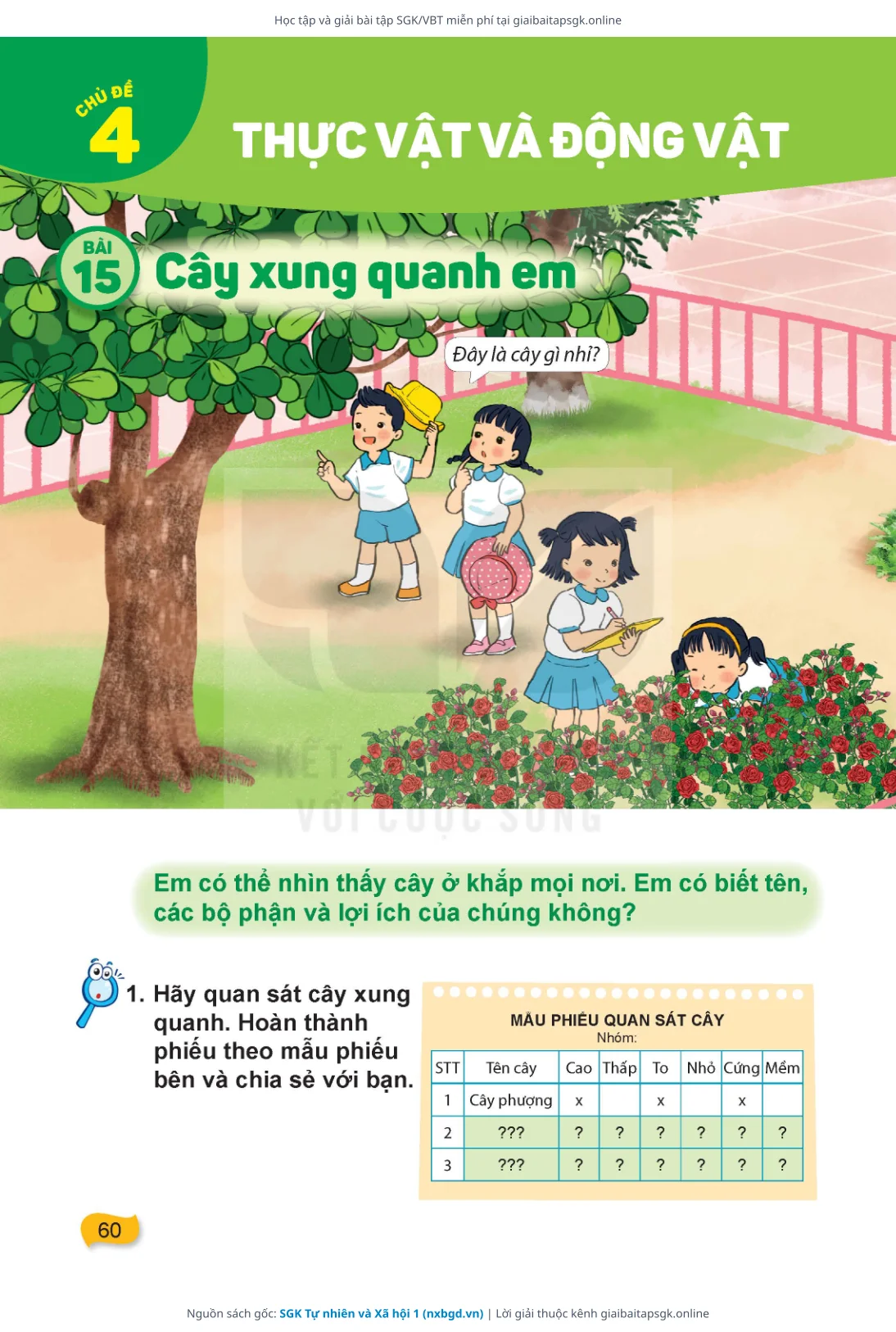 Trang 61 sách giáo khoa SGK Tự nhiên và Xã hội 1 thu nhỏ