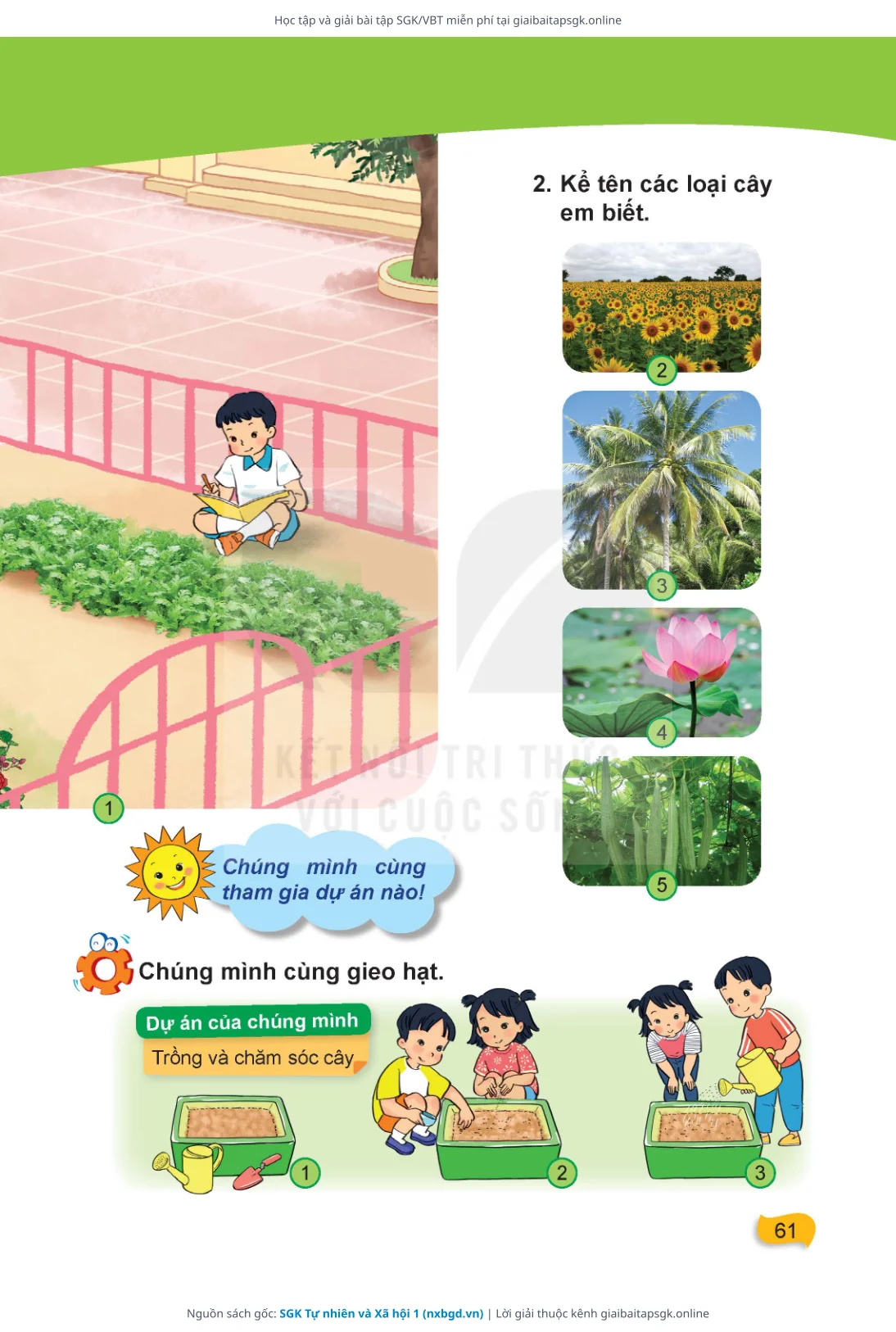 Trang 62 sách giáo khoa SGK Tự nhiên và Xã hội 1 thu nhỏ