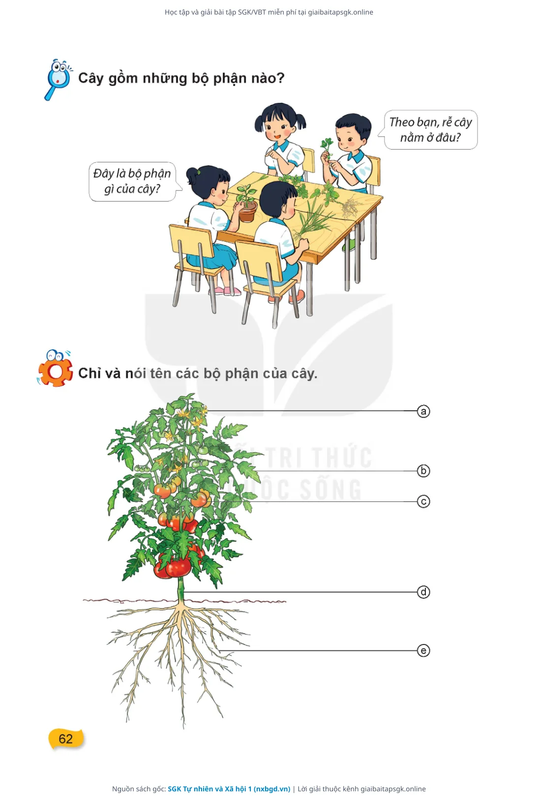 Trang 63 sách giáo khoa SGK Tự nhiên và Xã hội 1 thu nhỏ