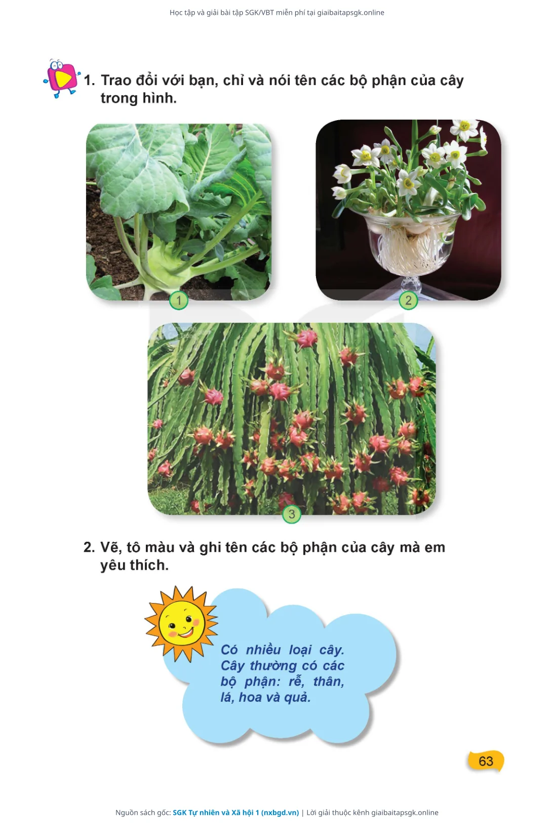Trang 64 sách giáo khoa SGK Tự nhiên và Xã hội 1 thu nhỏ
