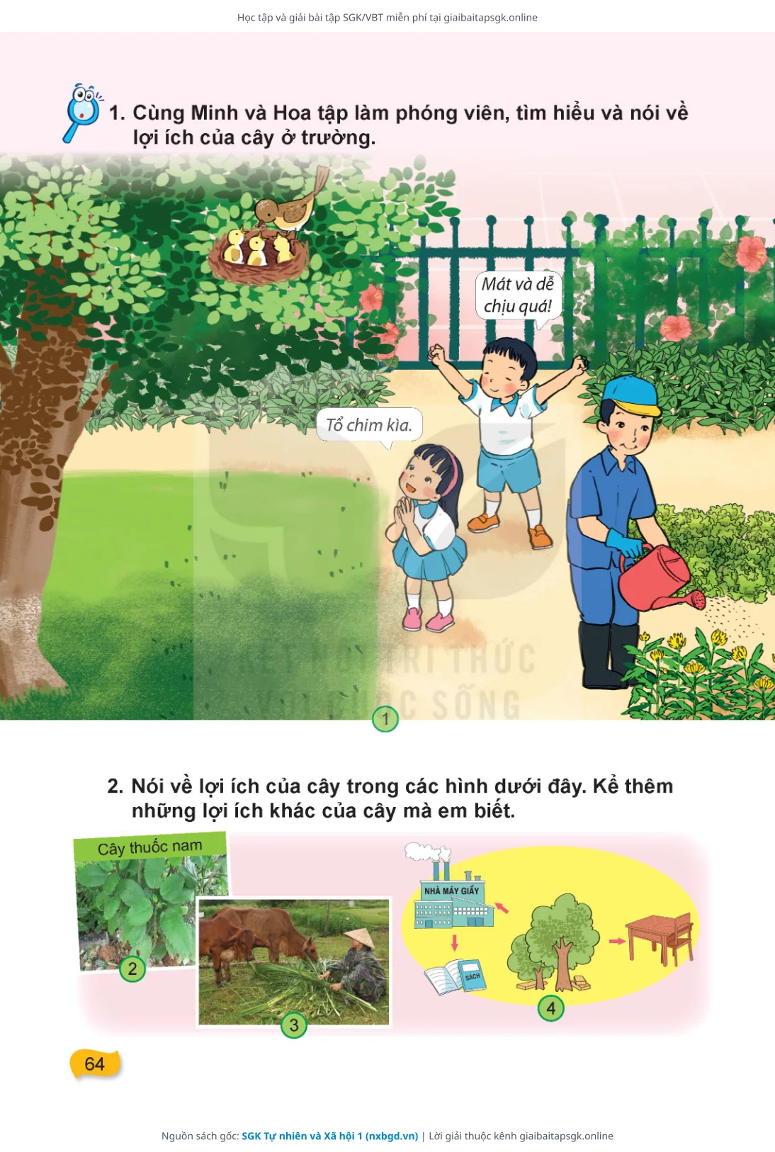 Trang 65 sách giáo khoa SGK Tự nhiên và Xã hội 1 thu nhỏ