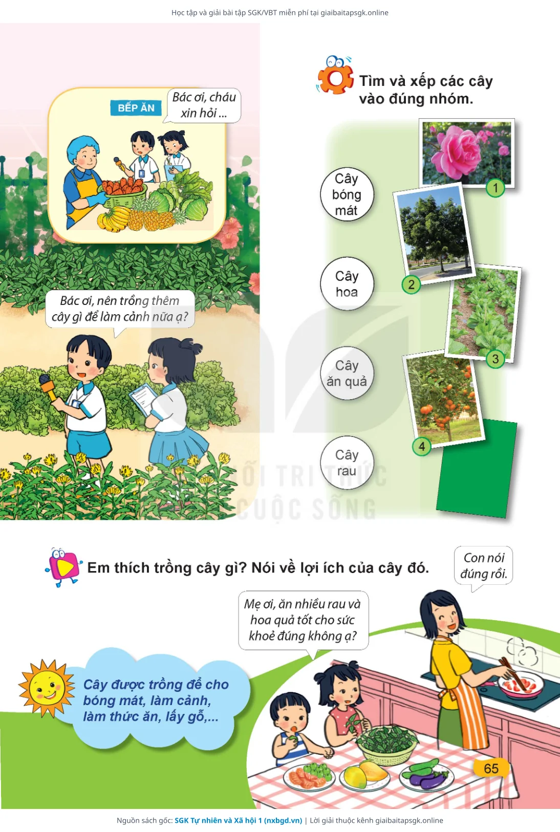 Trang 66 sách giáo khoa SGK Tự nhiên và Xã hội 1 thu nhỏ