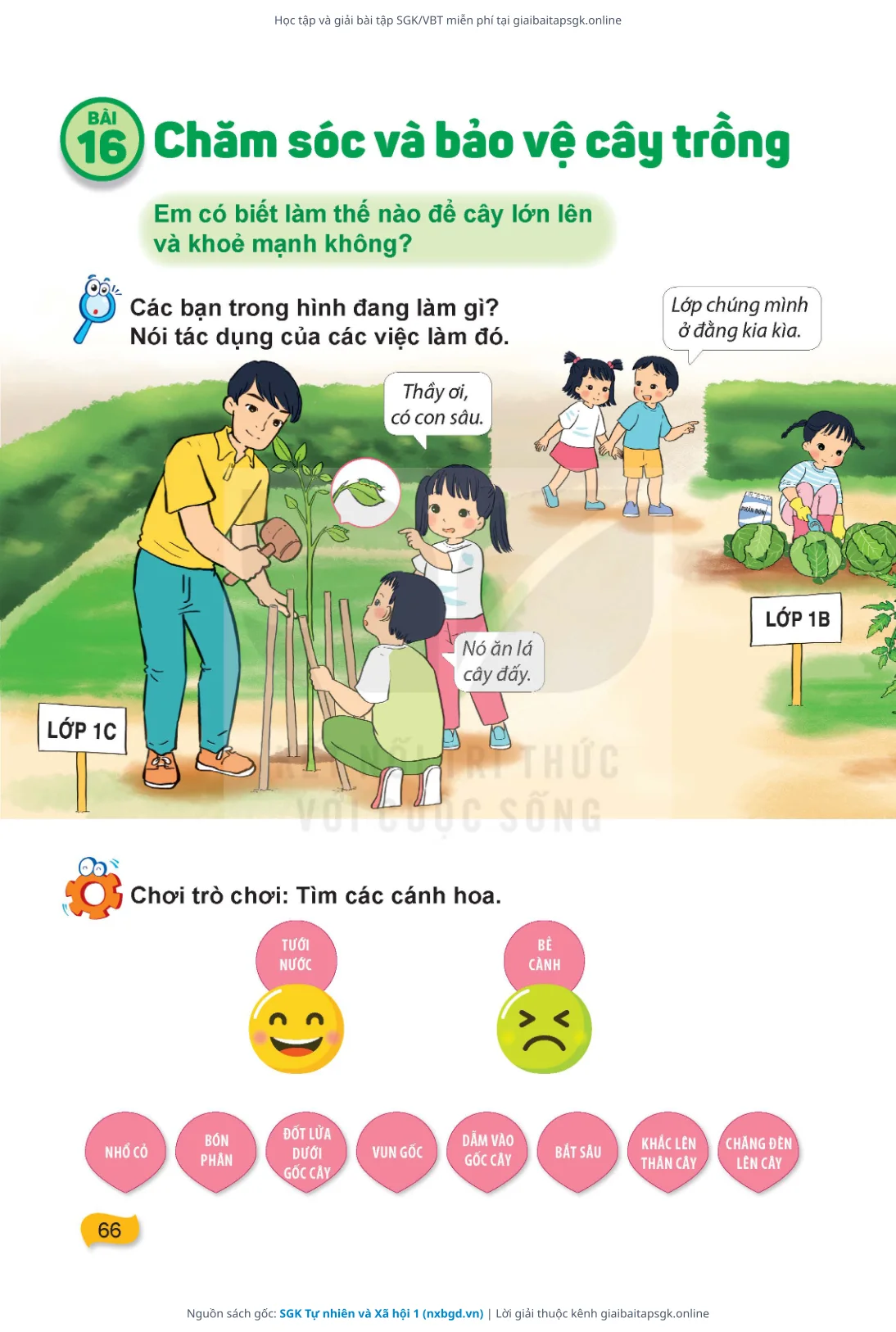 Trang 67 sách giáo khoa SGK Tự nhiên và Xã hội 1 thu nhỏ