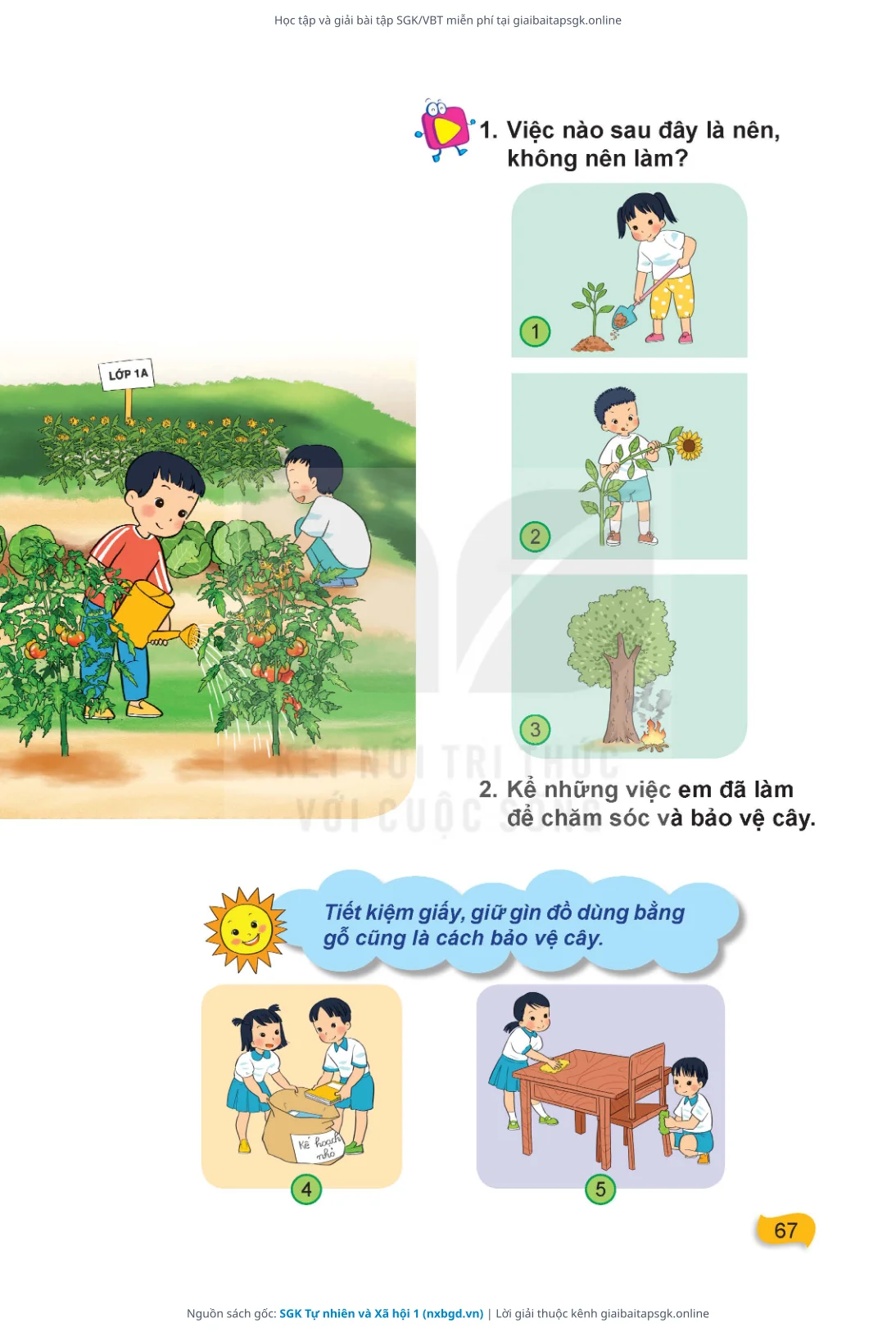 Trang 68 sách giáo khoa SGK Tự nhiên và Xã hội 1 thu nhỏ