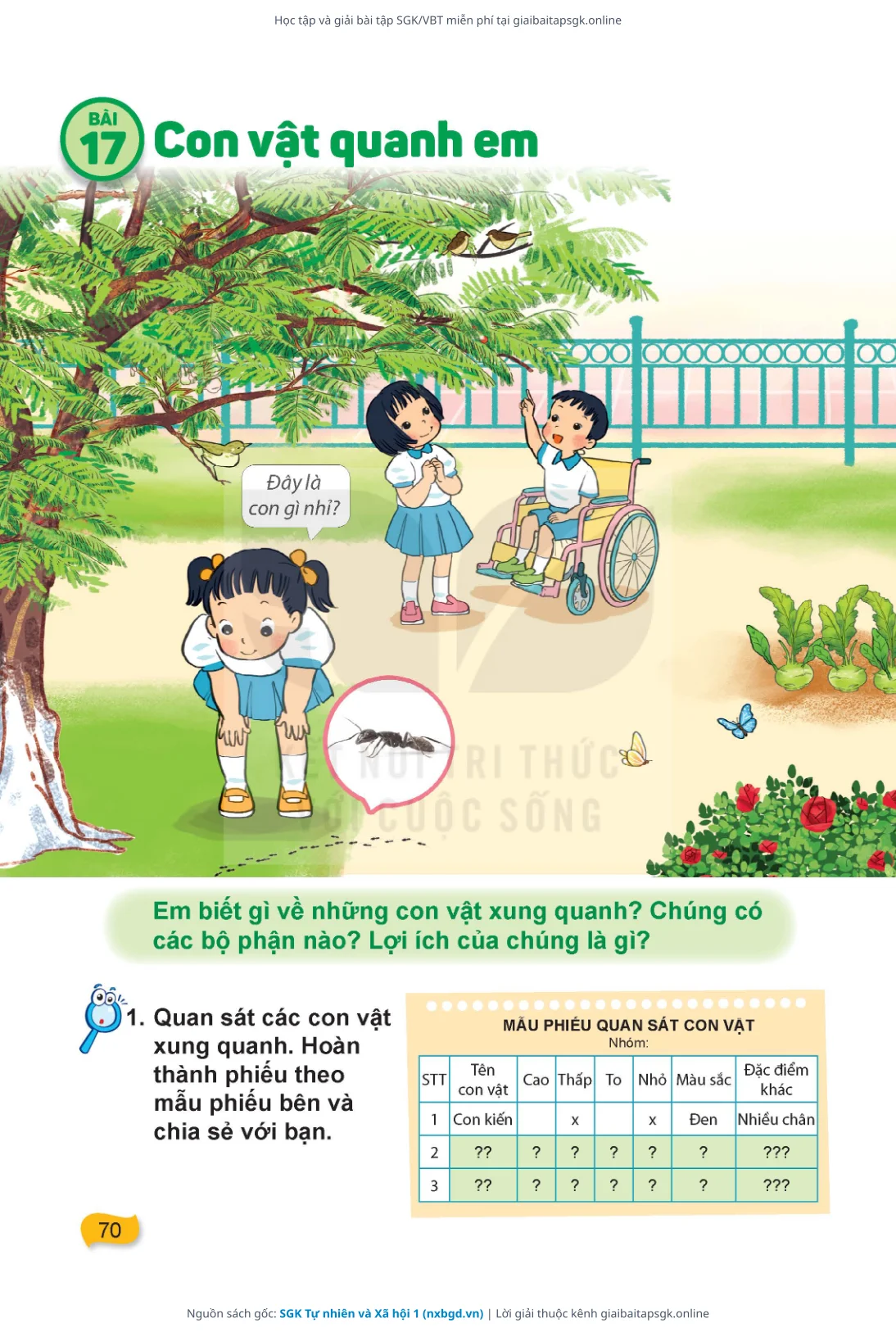 Trang 71 sách giáo khoa SGK Tự nhiên và Xã hội 1 thu nhỏ