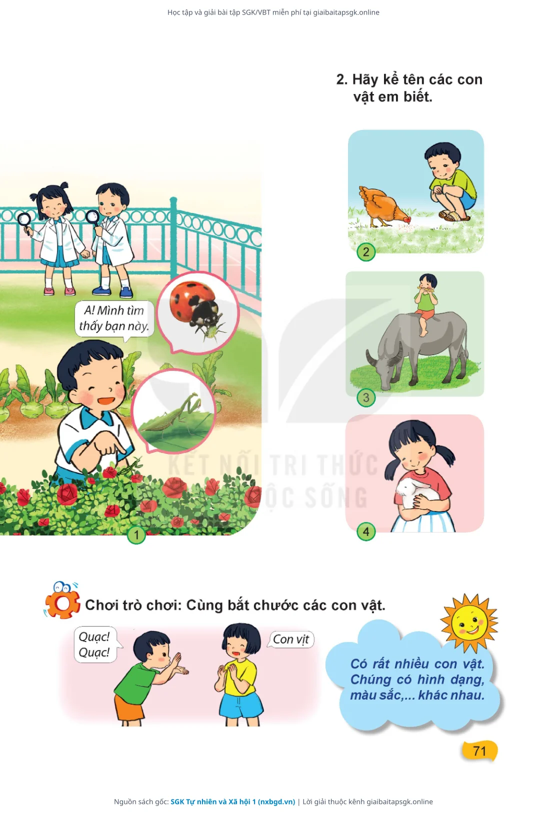 Trang 72 sách giáo khoa SGK Tự nhiên và Xã hội 1 thu nhỏ