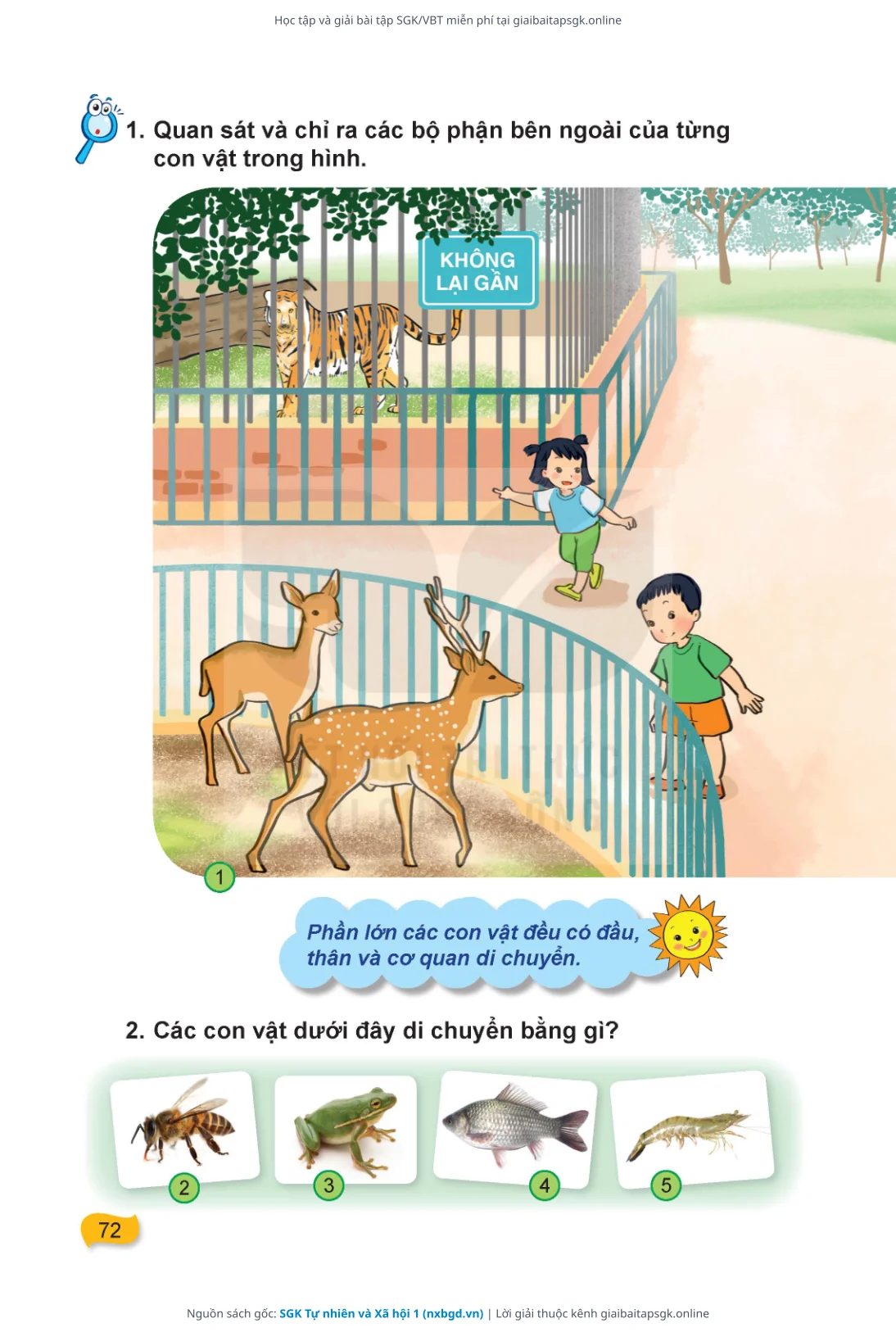 Trang 73 sách giáo khoa SGK Tự nhiên và Xã hội 1 thu nhỏ
