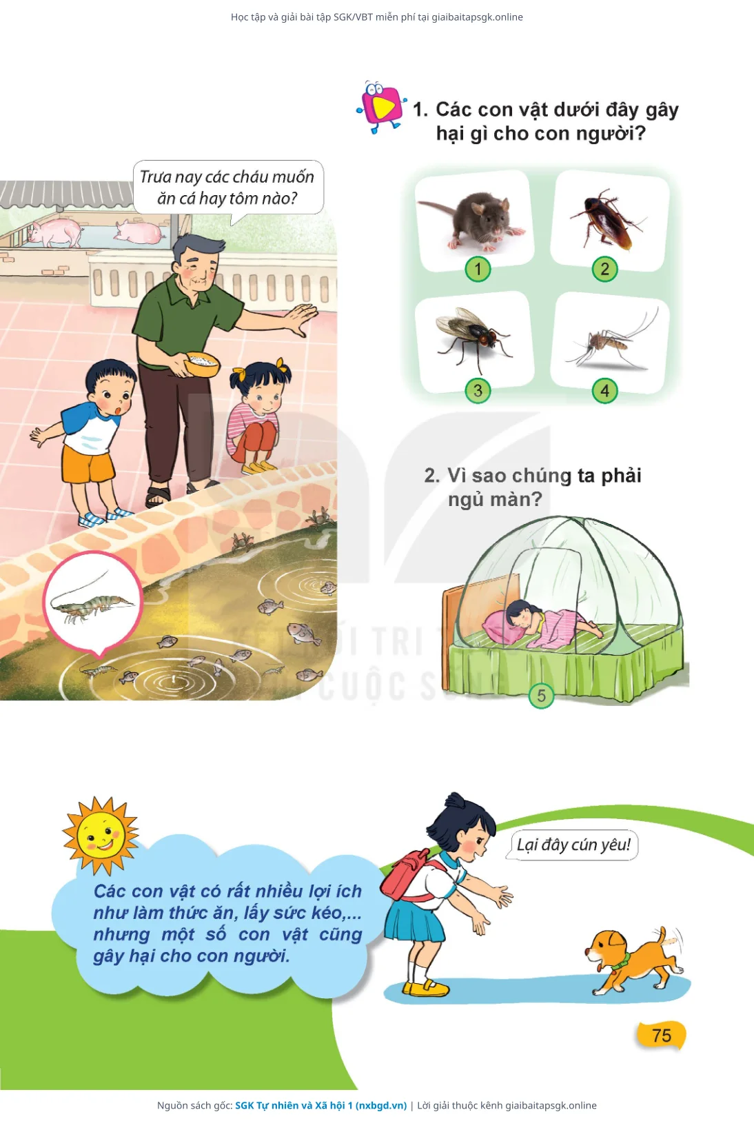 Trang 76 sách giáo khoa SGK Tự nhiên và Xã hội 1 thu nhỏ