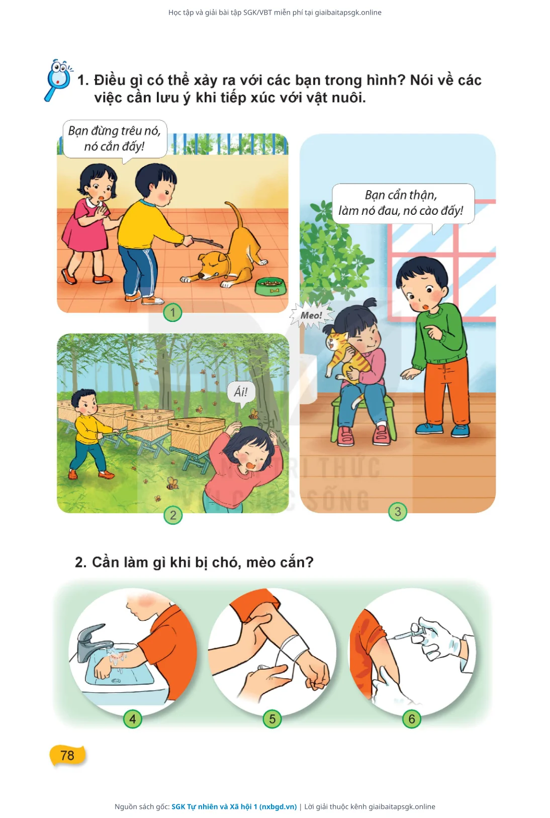 Trang 79 sách giáo khoa SGK Tự nhiên và Xã hội 1 thu nhỏ