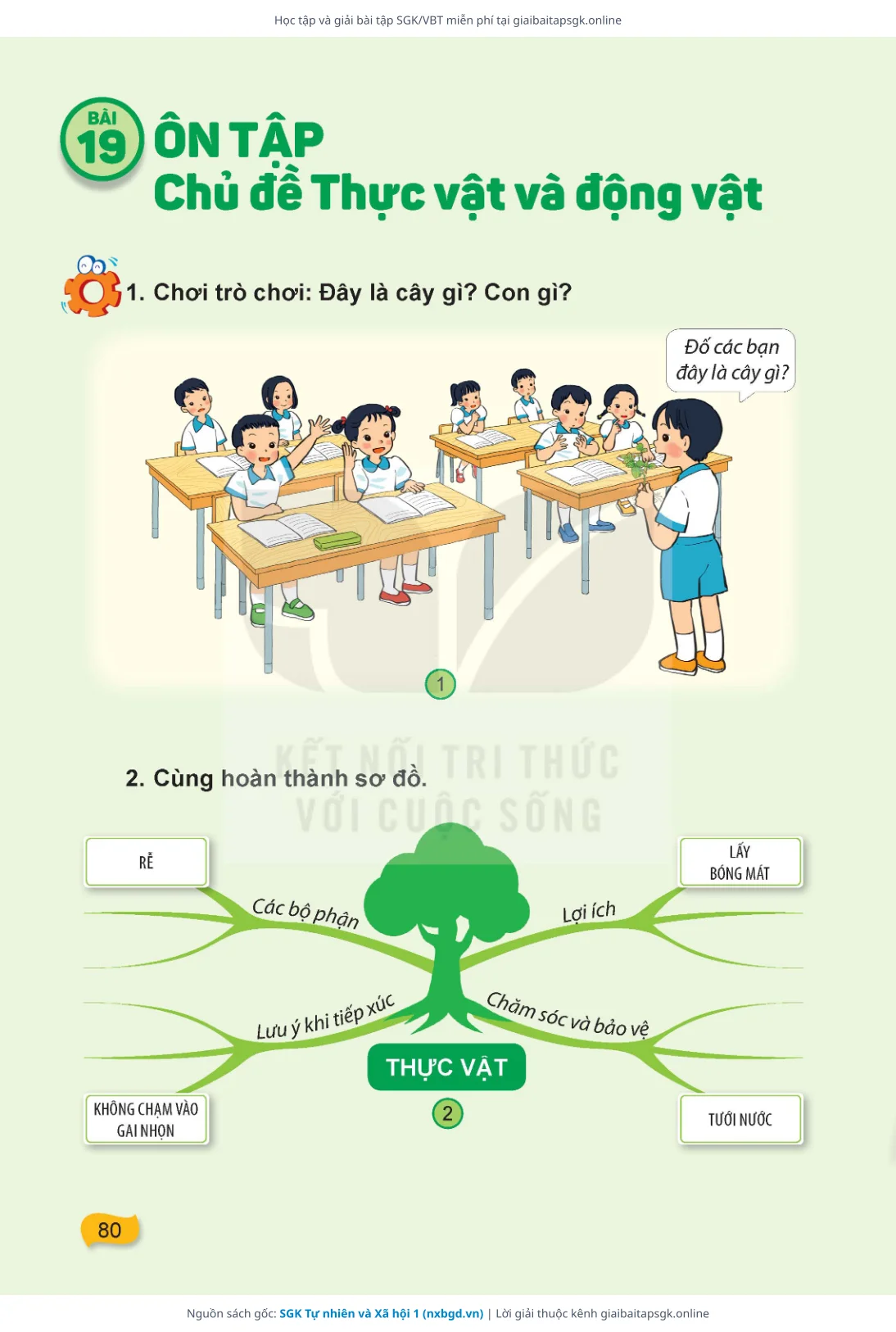 Trang 81 sách giáo khoa SGK Tự nhiên và Xã hội 1 thu nhỏ