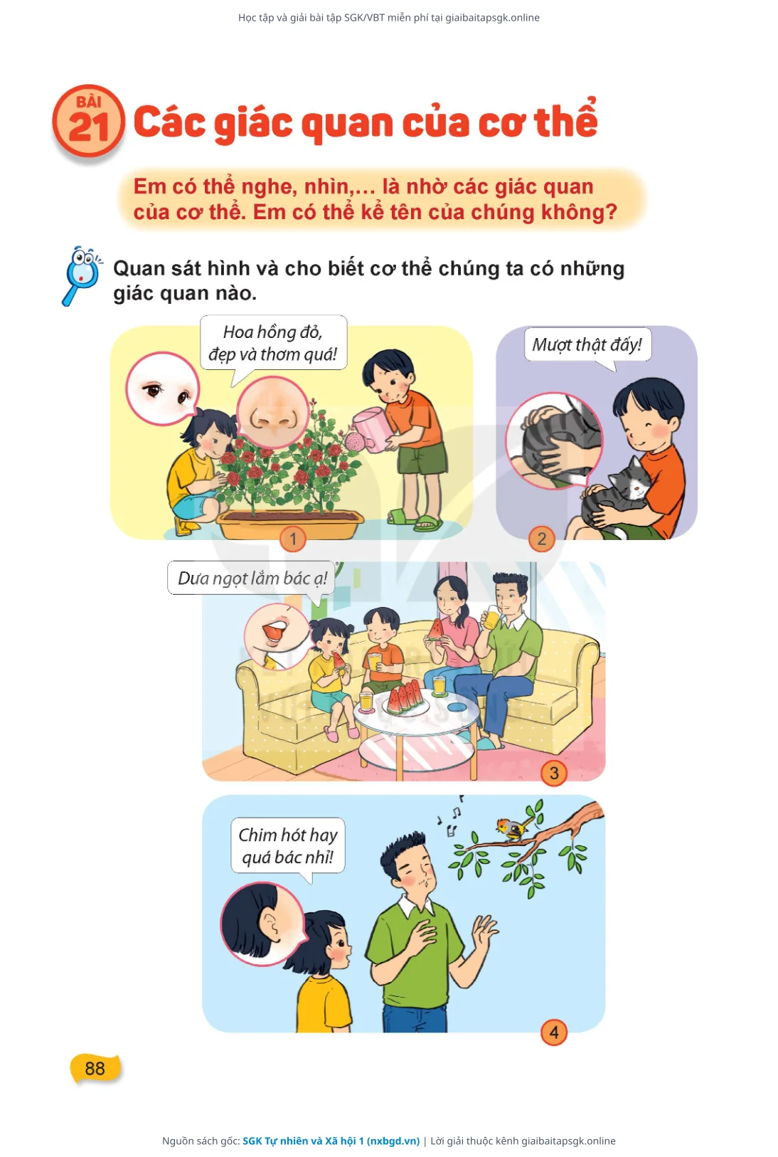 Trang 89 sách giáo khoa SGK Tự nhiên và Xã hội 1 thu nhỏ