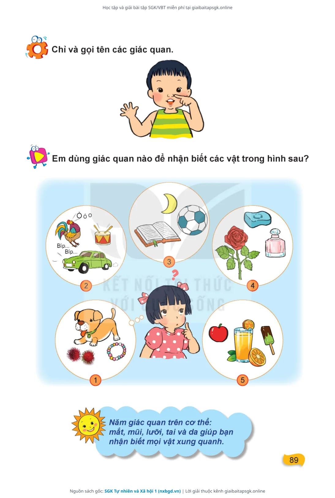 Trang 90 sách giáo khoa SGK Tự nhiên và Xã hội 1 thu nhỏ