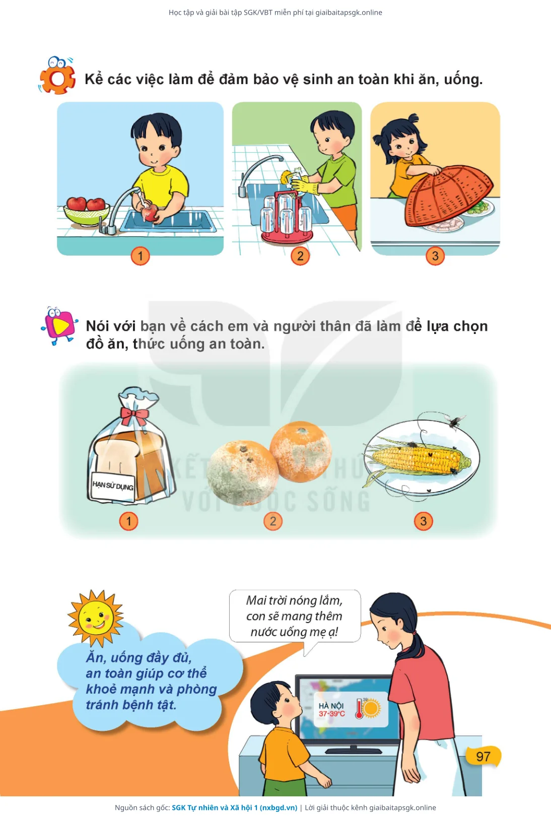 Trang 98 sách giáo khoa SGK Tự nhiên và Xã hội 1 thu nhỏ