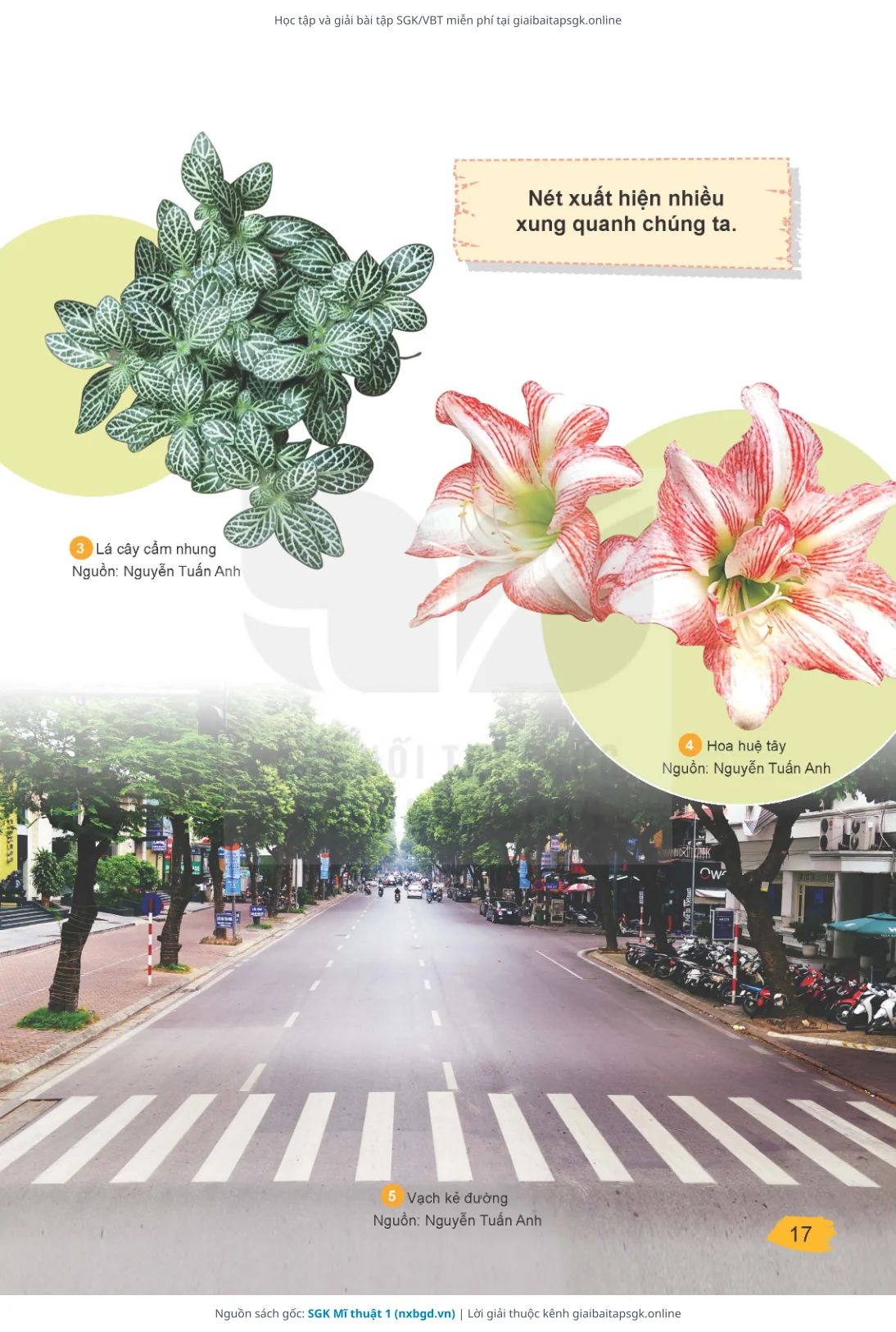 Trang 17 sách giáo khoa SGK Mĩ thuật 1 thu nhỏ