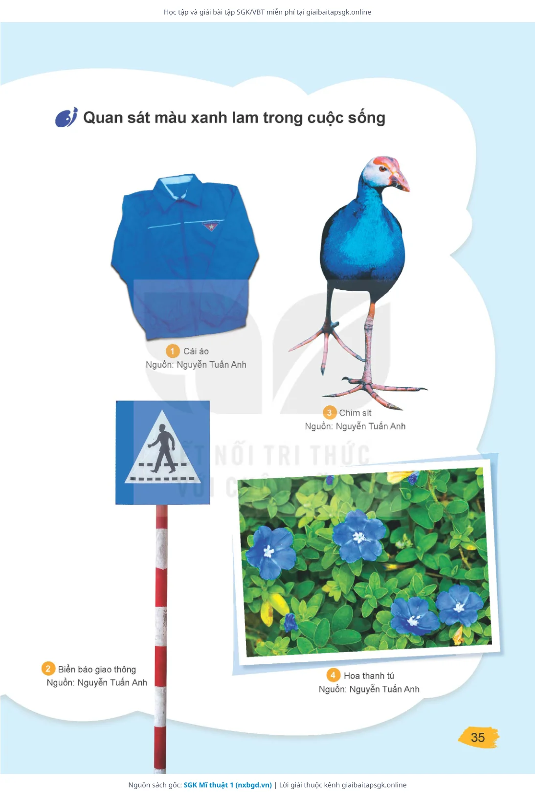 Trang 35 sách giáo khoa SGK Mĩ thuật 1 thu nhỏ