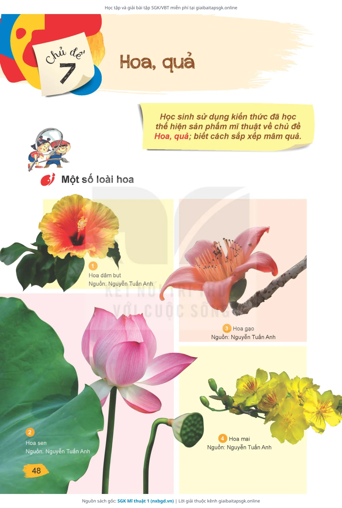Trang 48 sách giáo khoa SGK Mĩ thuật 1 bản chuẩn