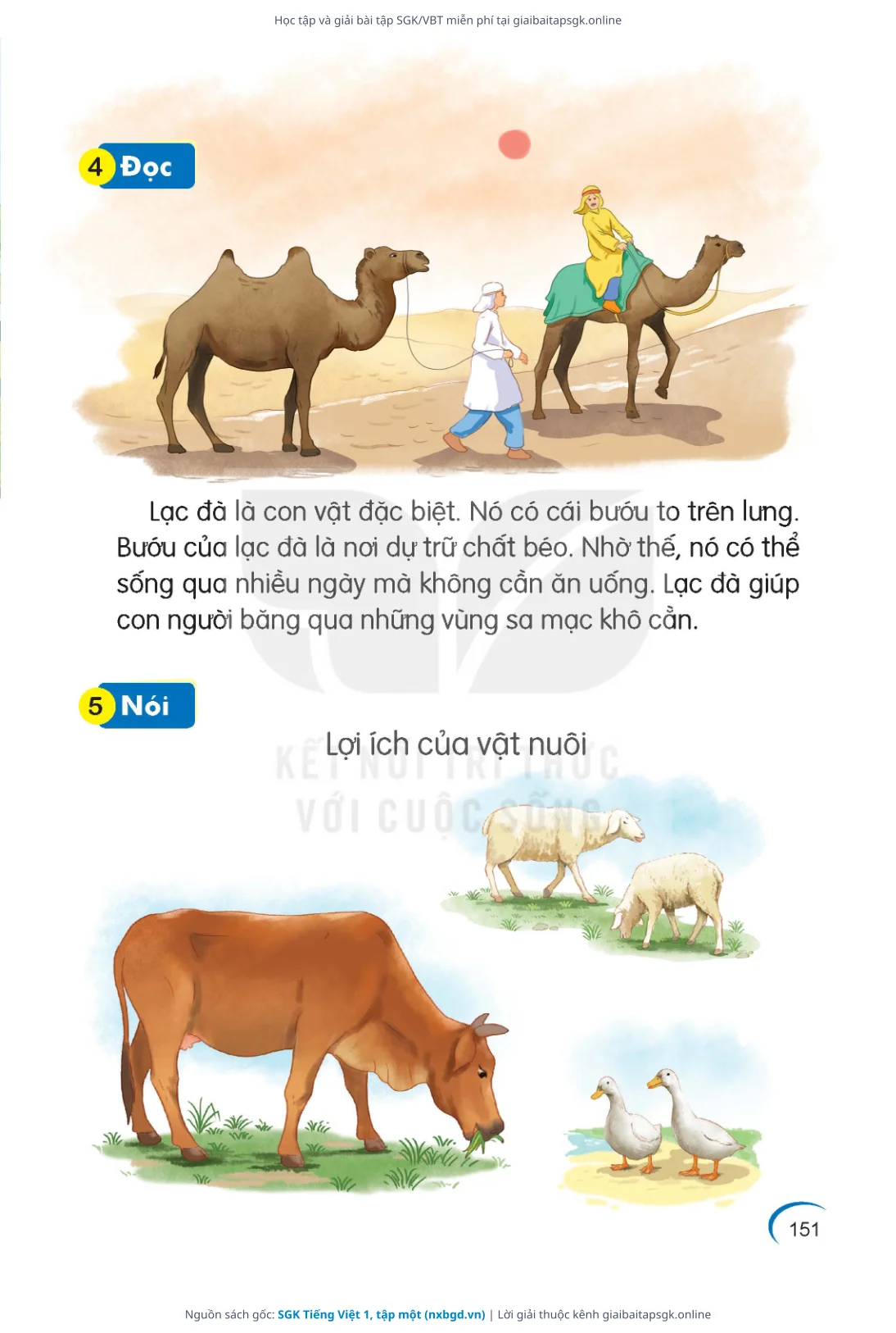 Trang 151 sách giáo khoa SGK Tiếng Việt 1, tập một thu nhỏ