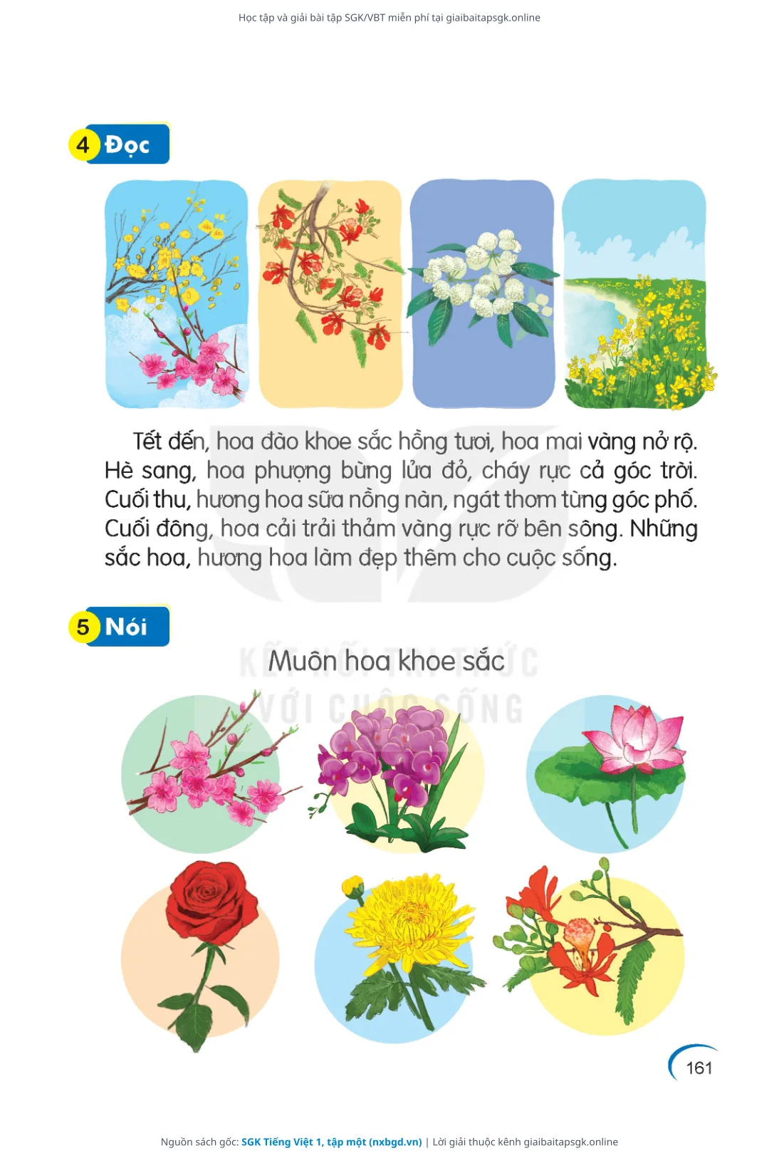 Trang 162 sách giáo khoa SGK Tiếng Việt 1, tập một thu nhỏ