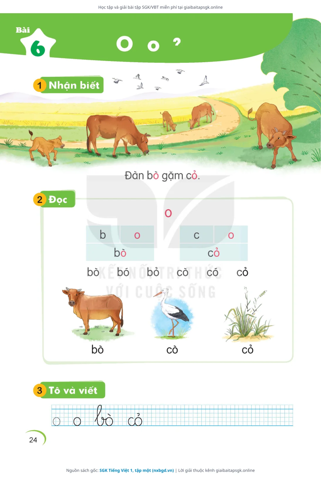 Trang 24 sách giáo khoa SGK Tiếng Việt 1, tập một bản chuẩn