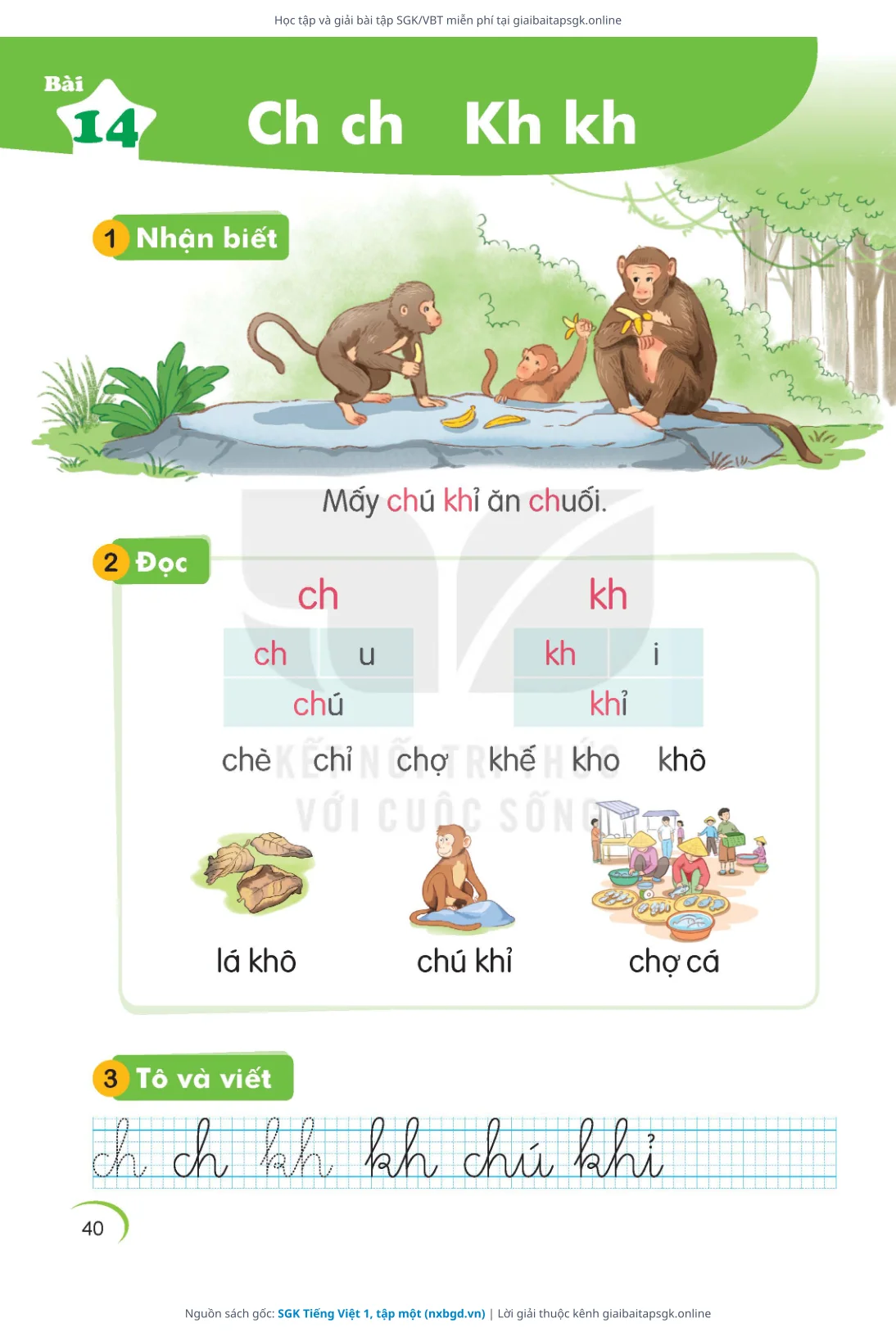 Trang 41 sách giáo khoa SGK Tiếng Việt 1, tập một thu nhỏ