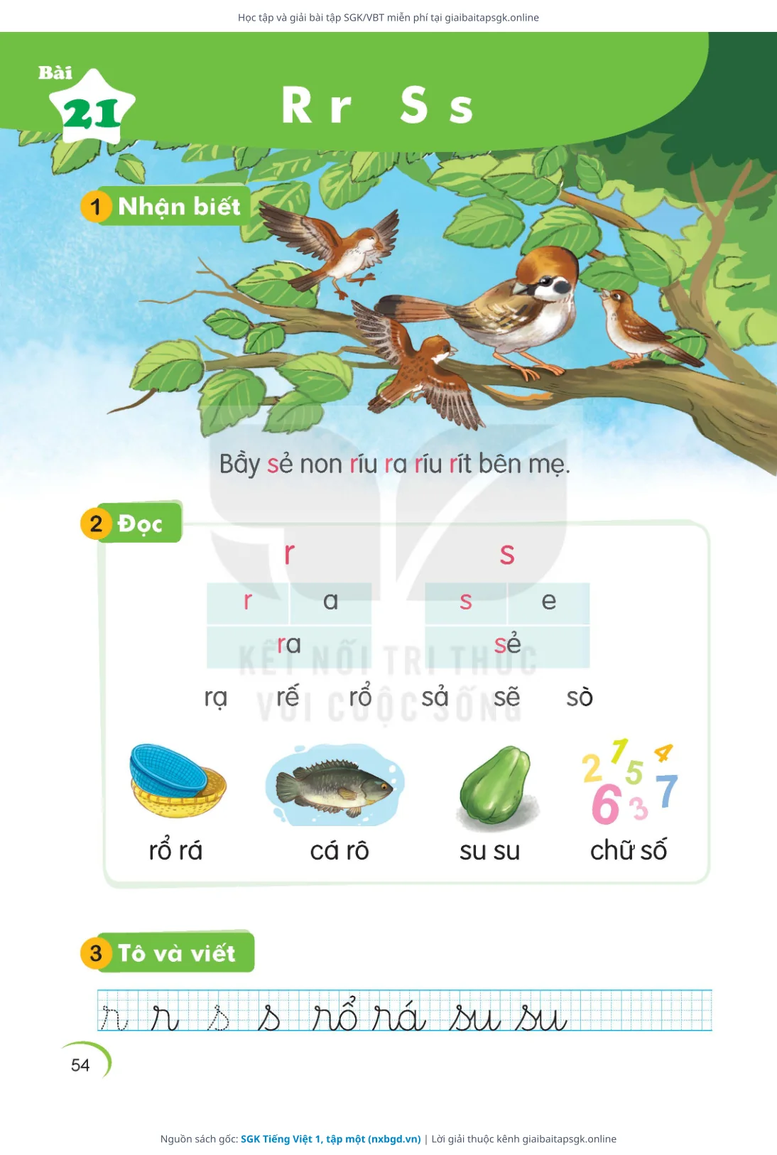 Trang 55 sách giáo khoa SGK Tiếng Việt 1, tập một thu nhỏ