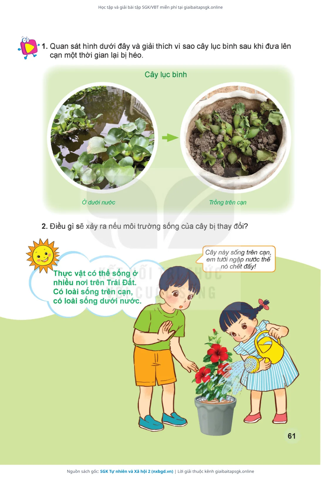 Trang 62 sách giáo khoa SGK Tự nhiên và Xã hội 2 thu nhỏ