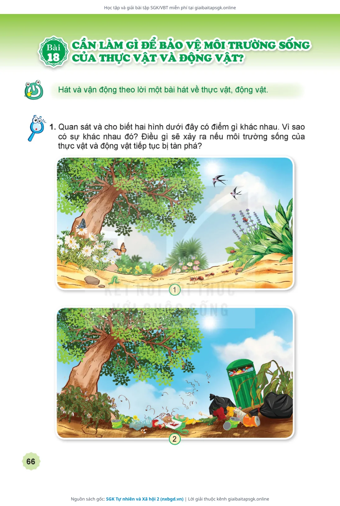 Trang 67 sách giáo khoa SGK Tự nhiên và Xã hội 2 thu nhỏ