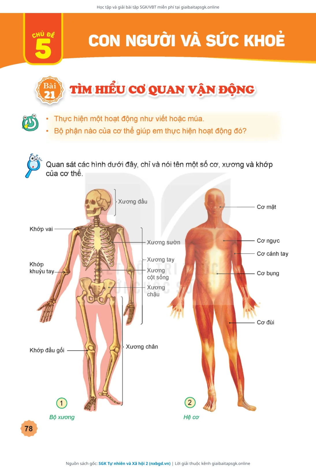 Trang 79 sách giáo khoa SGK Tự nhiên và Xã hội 2 thu nhỏ