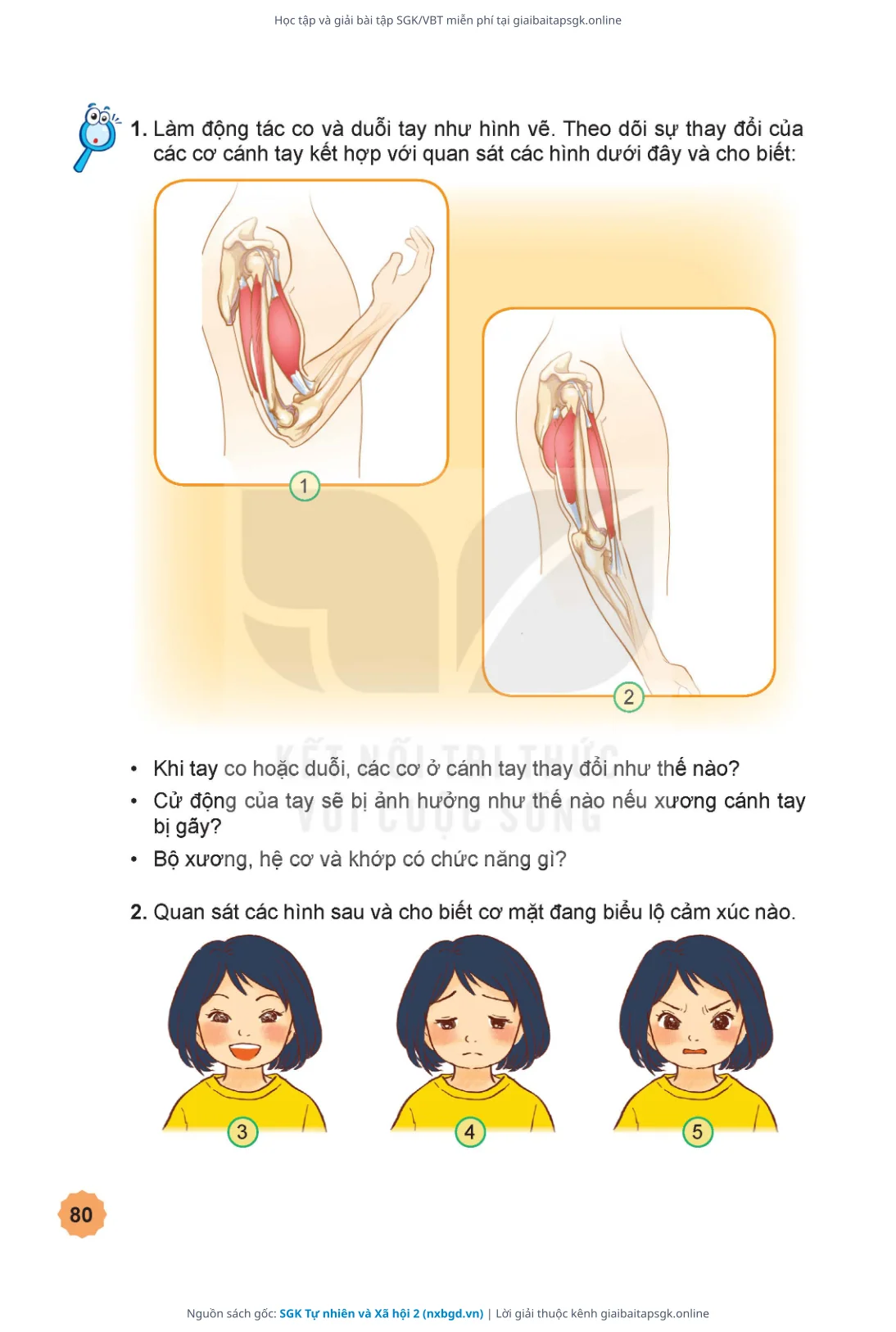 Trang 81 sách giáo khoa SGK Tự nhiên và Xã hội 2 thu nhỏ