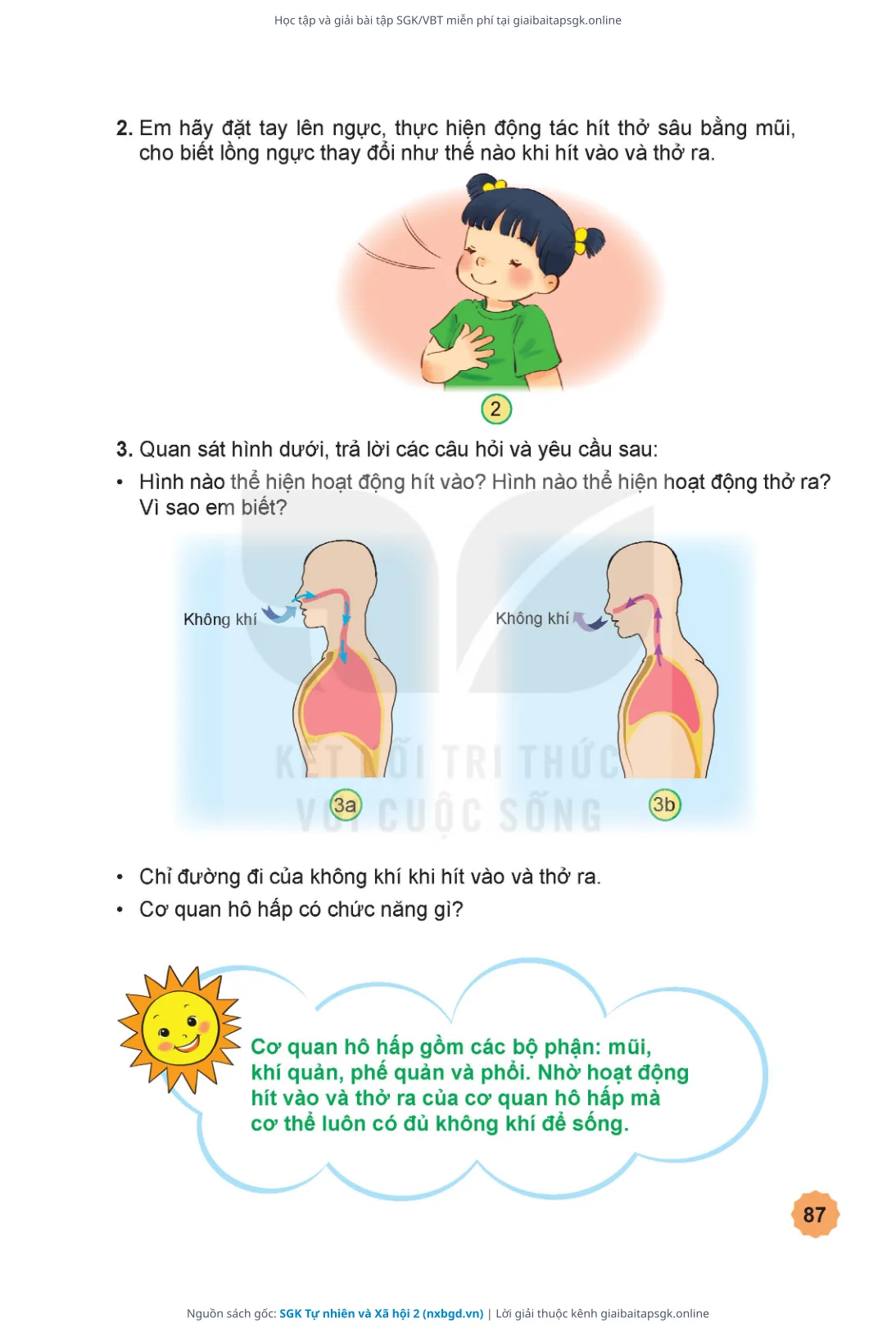 Trang 88 sách giáo khoa SGK Tự nhiên và Xã hội 2 thu nhỏ