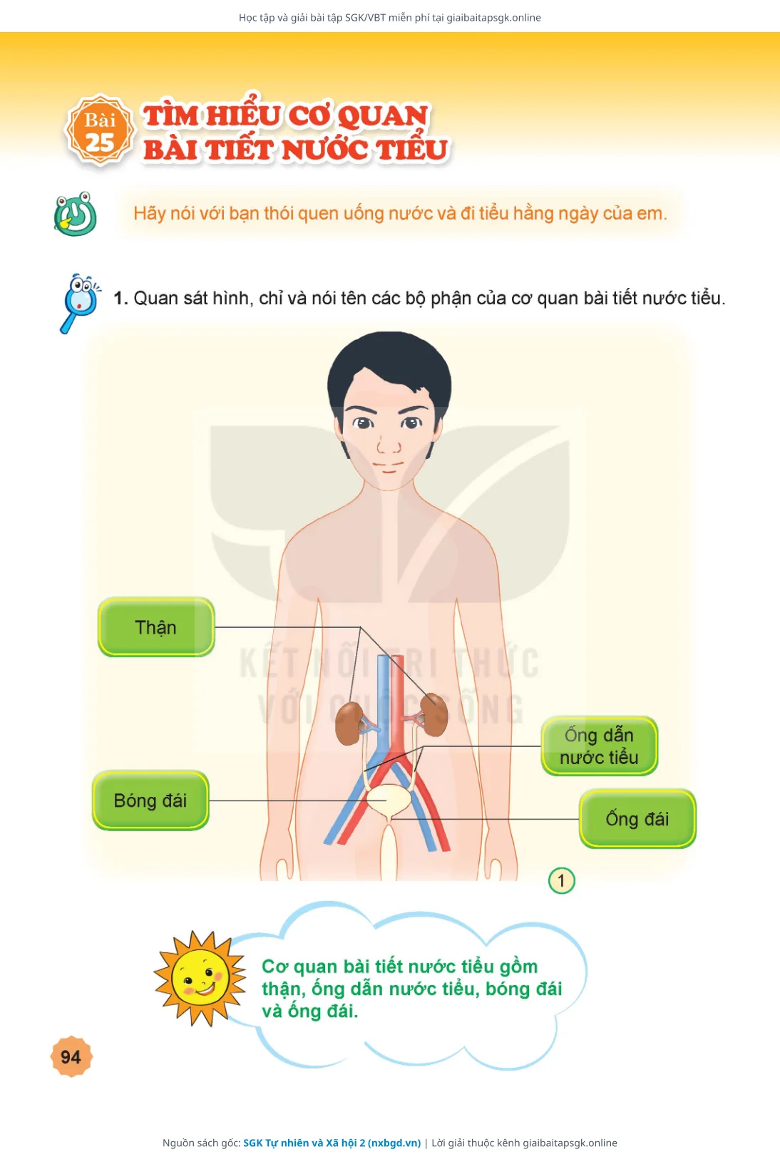 Trang 95 sách giáo khoa SGK Tự nhiên và Xã hội 2 thu nhỏ