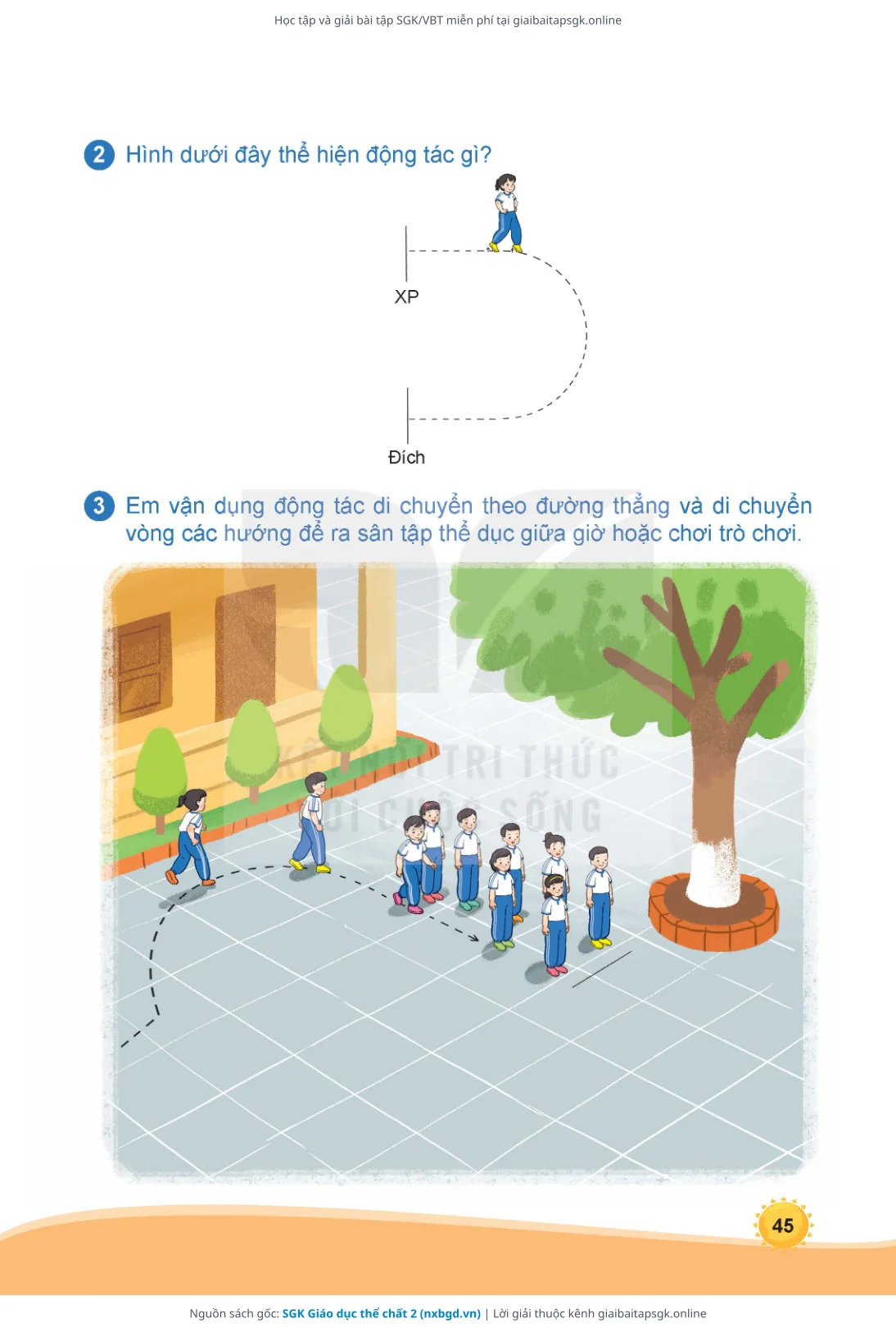 Trang 46 sách giáo khoa SGK Giáo dục thể chất 2 thu nhỏ