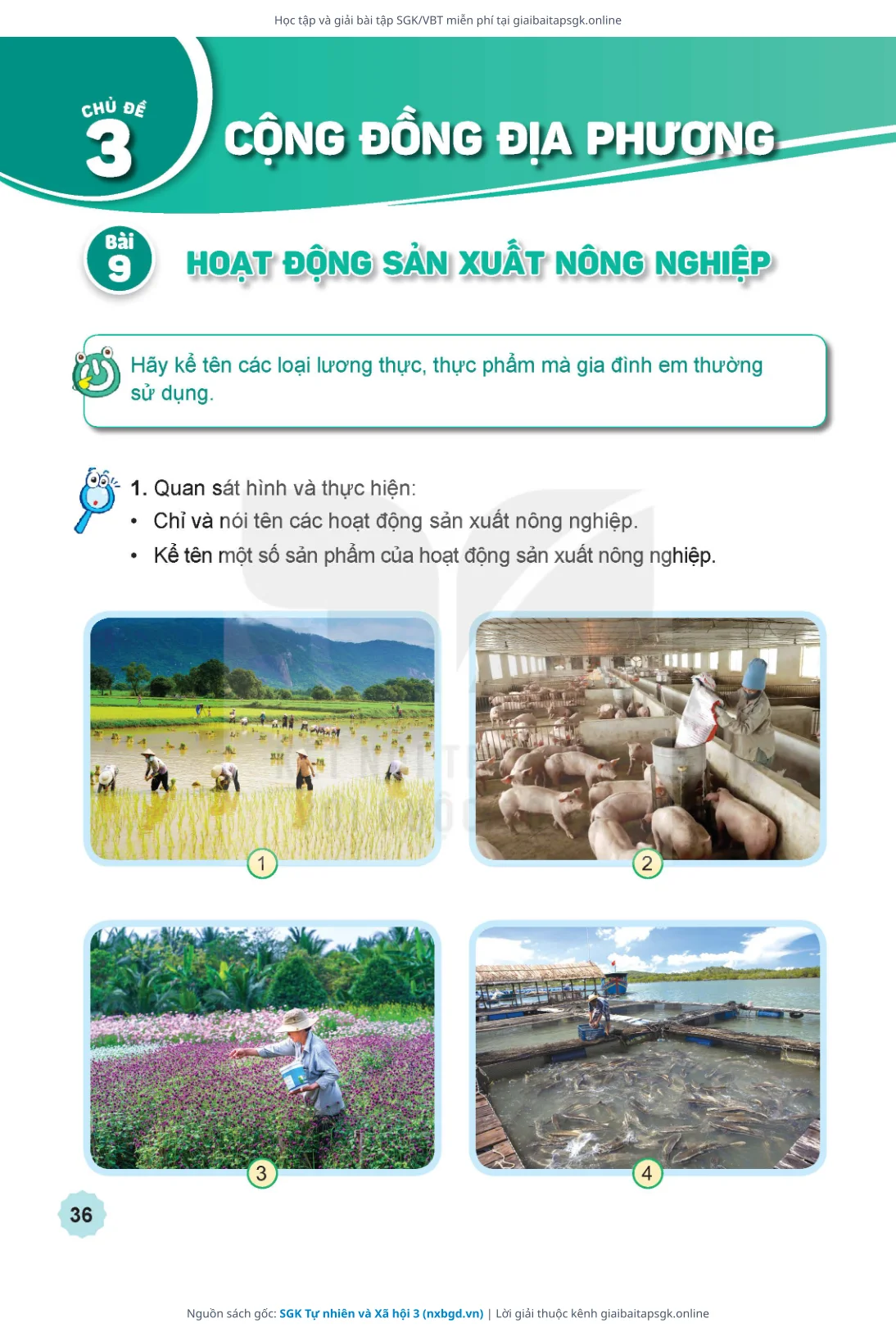 Trang 37 sách giáo khoa SGK Tự nhiên và Xã hội 3 thu nhỏ