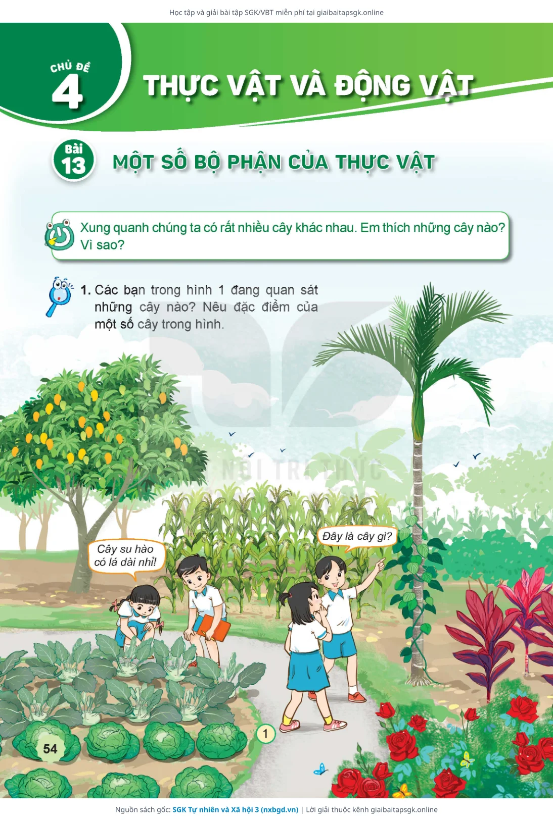 Trang 55 sách giáo khoa SGK Tự nhiên và Xã hội 3 thu nhỏ