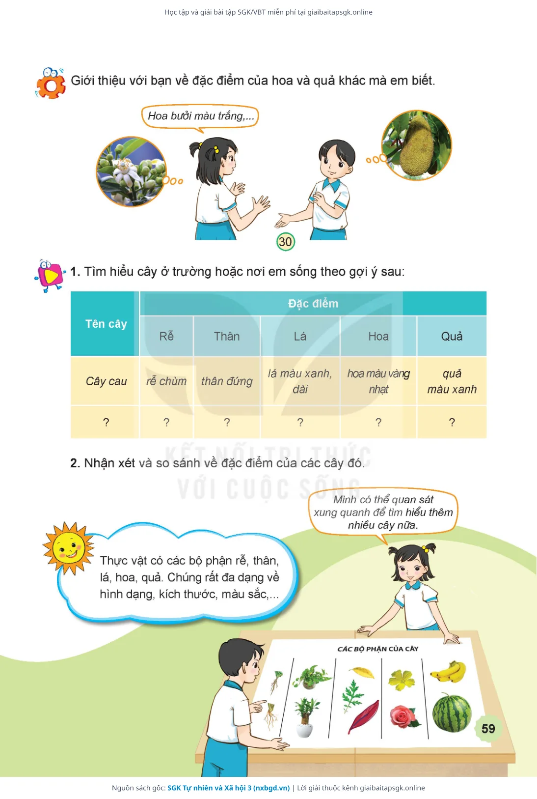 Trang 60 sách giáo khoa SGK Tự nhiên và Xã hội 3 thu nhỏ
