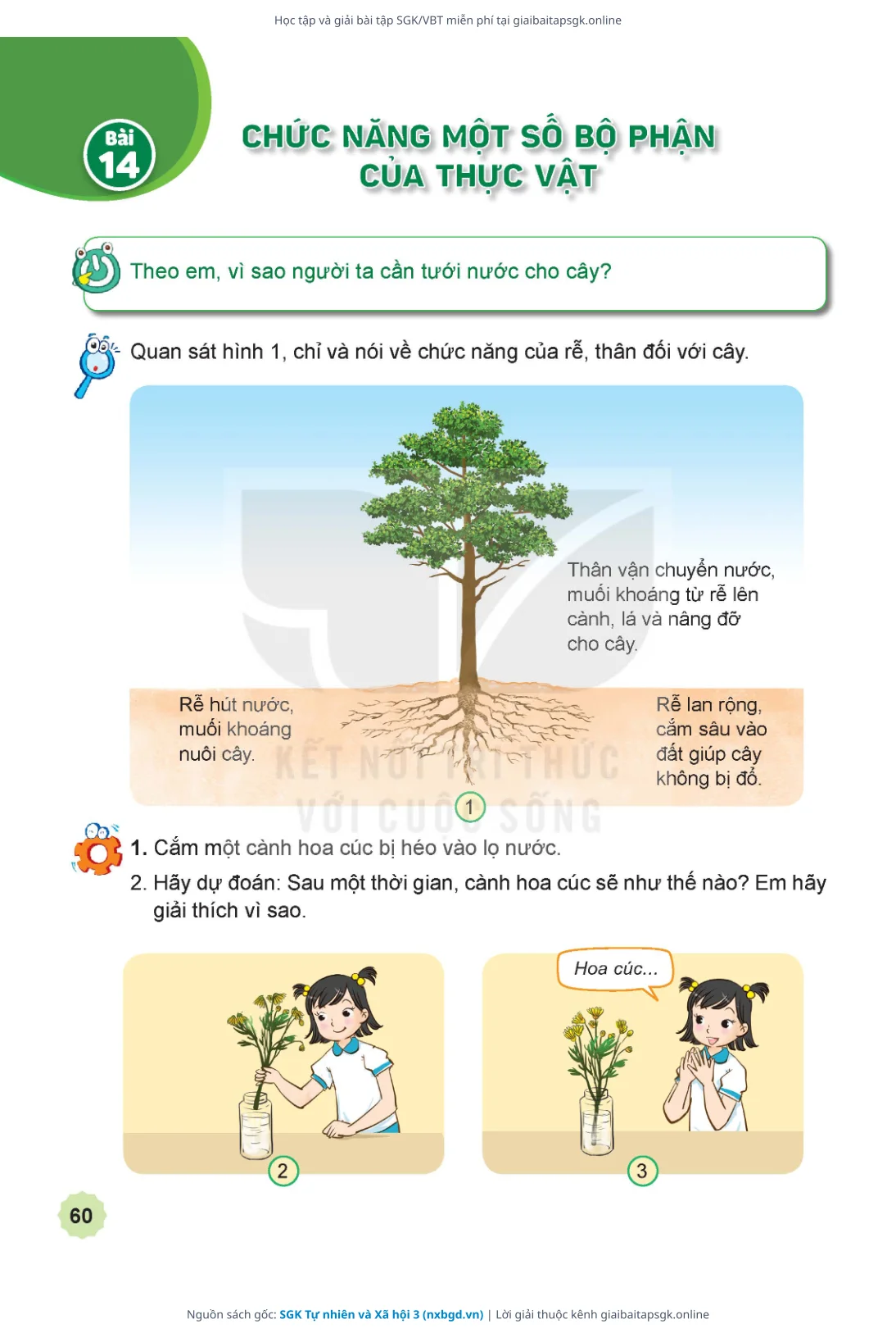 Trang 61 sách giáo khoa SGK Tự nhiên và Xã hội 3 thu nhỏ