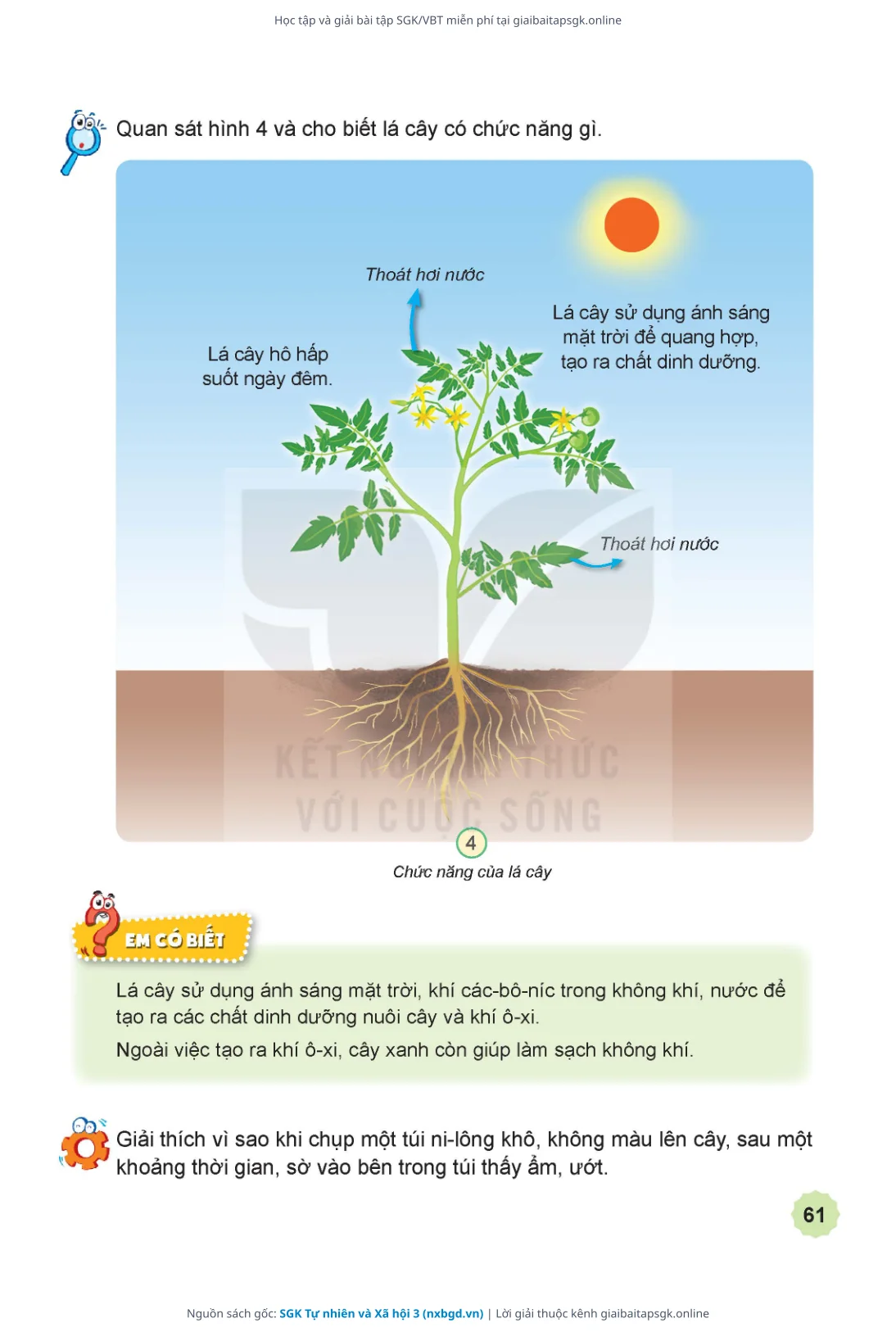 Trang 62 sách giáo khoa SGK Tự nhiên và Xã hội 3 thu nhỏ