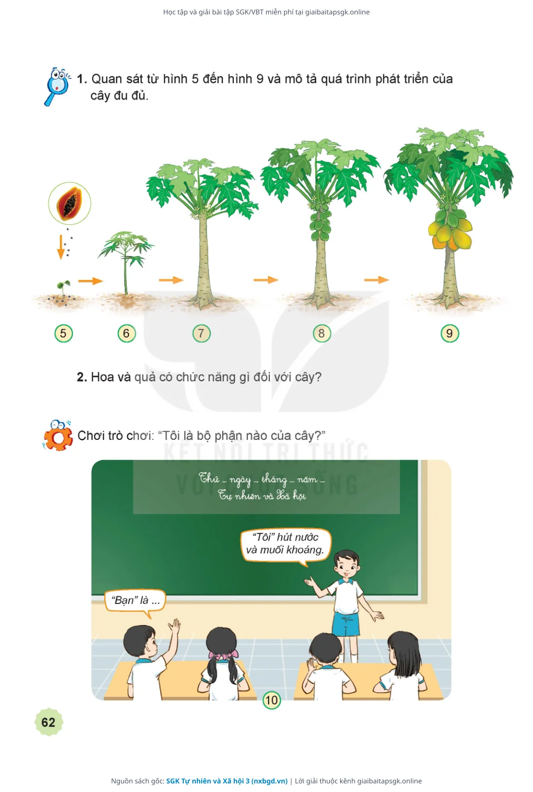 Trang 63 sách giáo khoa SGK Tự nhiên và Xã hội 3 thu nhỏ