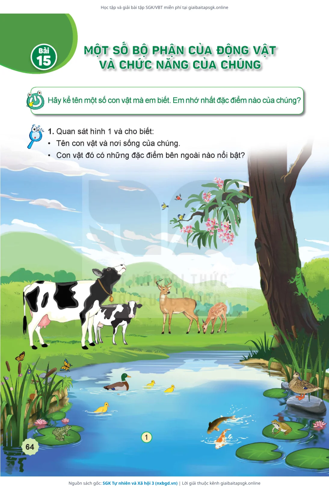 Trang 65 sách giáo khoa SGK Tự nhiên và Xã hội 3 thu nhỏ