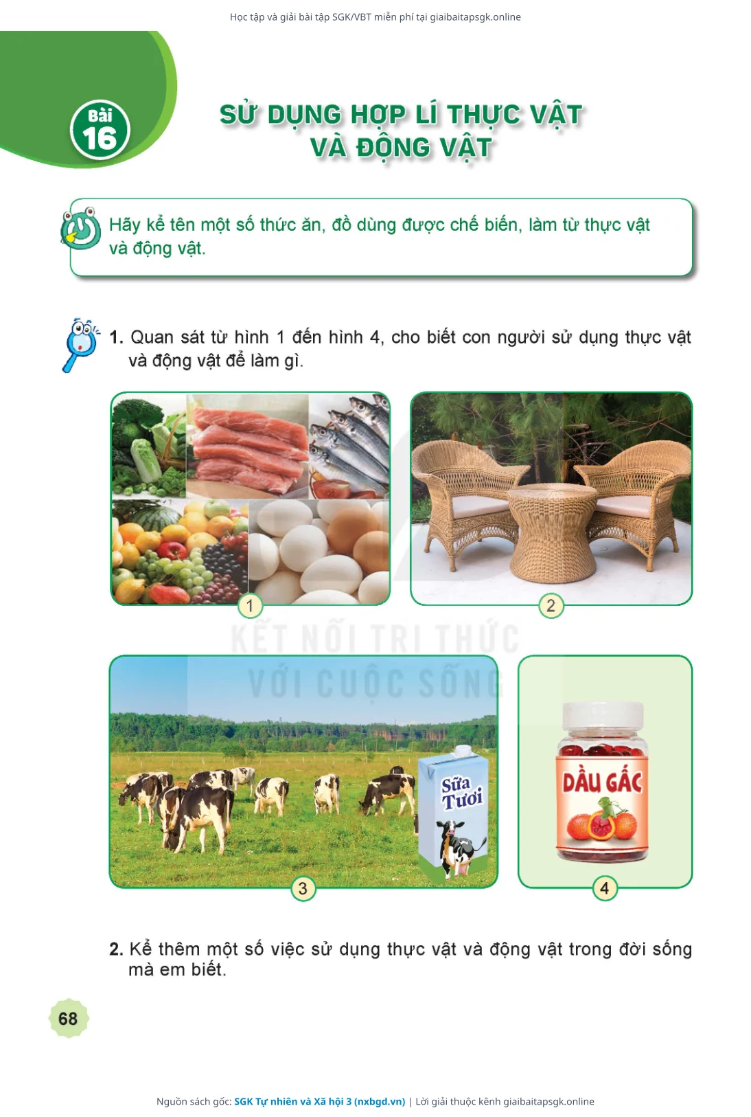 Trang 69 sách giáo khoa SGK Tự nhiên và Xã hội 3 thu nhỏ