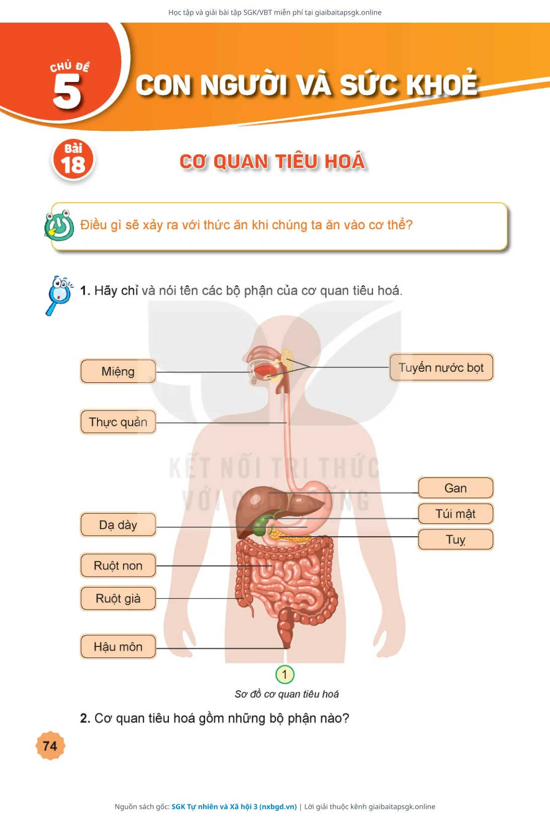 Trang 75 sách giáo khoa SGK Tự nhiên và Xã hội 3 thu nhỏ