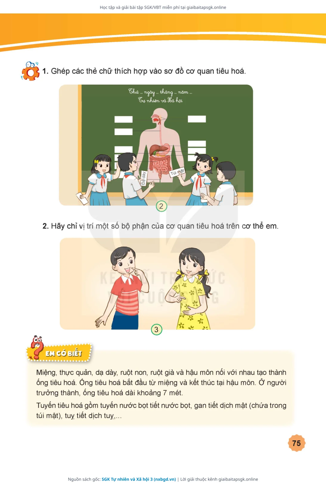 Trang 76 sách giáo khoa SGK Tự nhiên và Xã hội 3 thu nhỏ