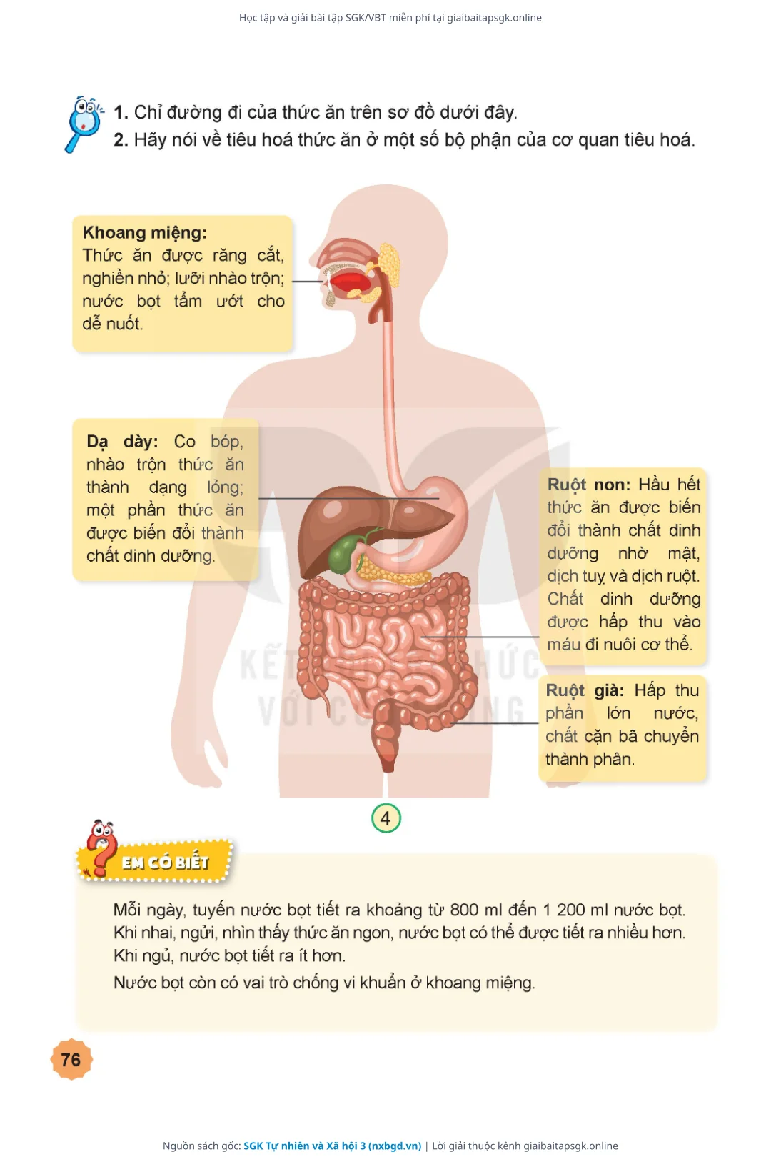 Trang 77 sách giáo khoa SGK Tự nhiên và Xã hội 3 thu nhỏ