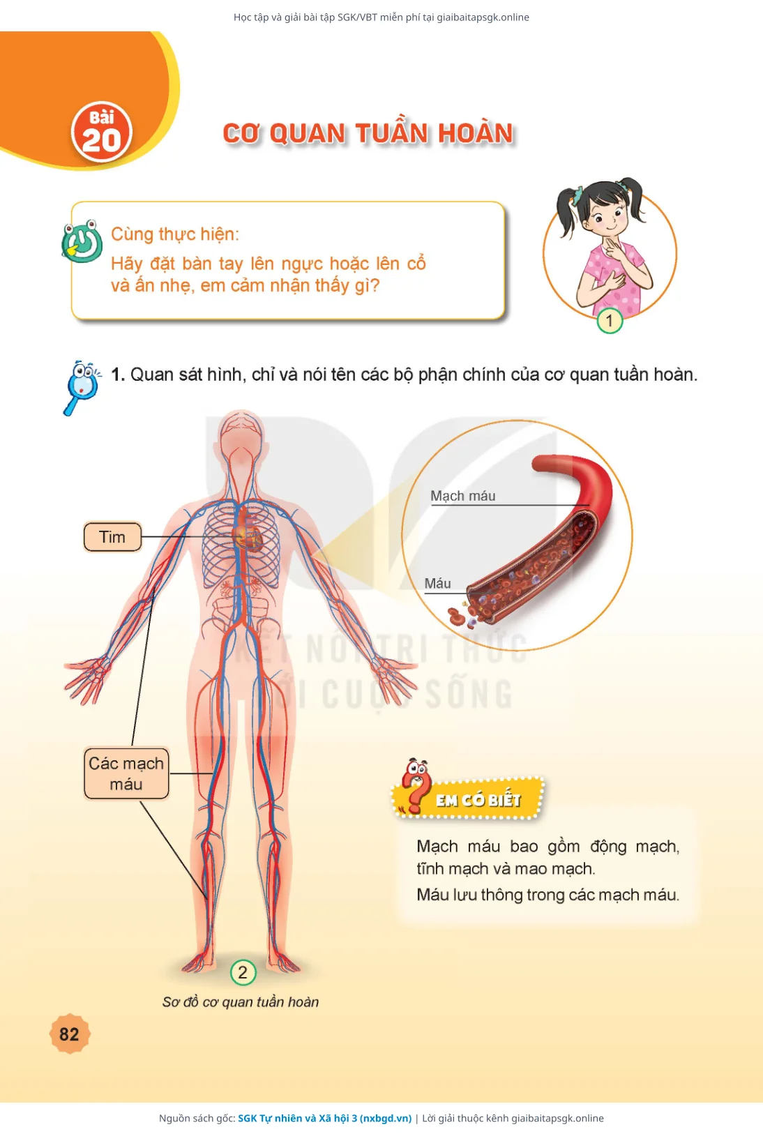 Trang 83 sách giáo khoa SGK Tự nhiên và Xã hội 3 thu nhỏ