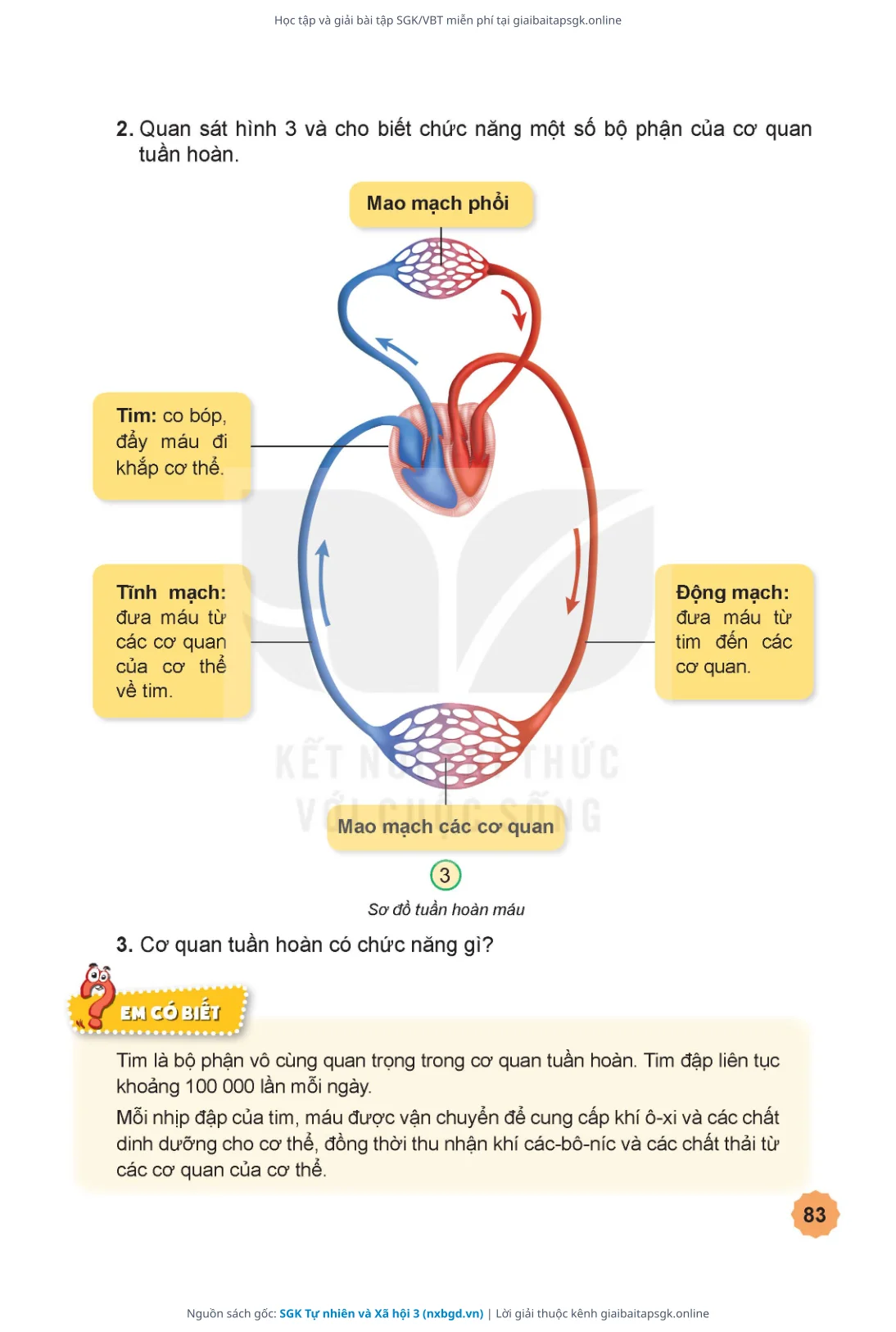 Trang 84 sách giáo khoa SGK Tự nhiên và Xã hội 3 thu nhỏ